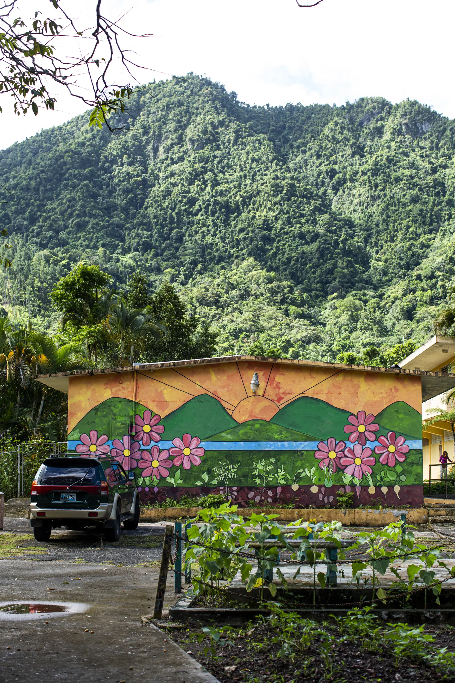 Photo of public school in Puerto Rico