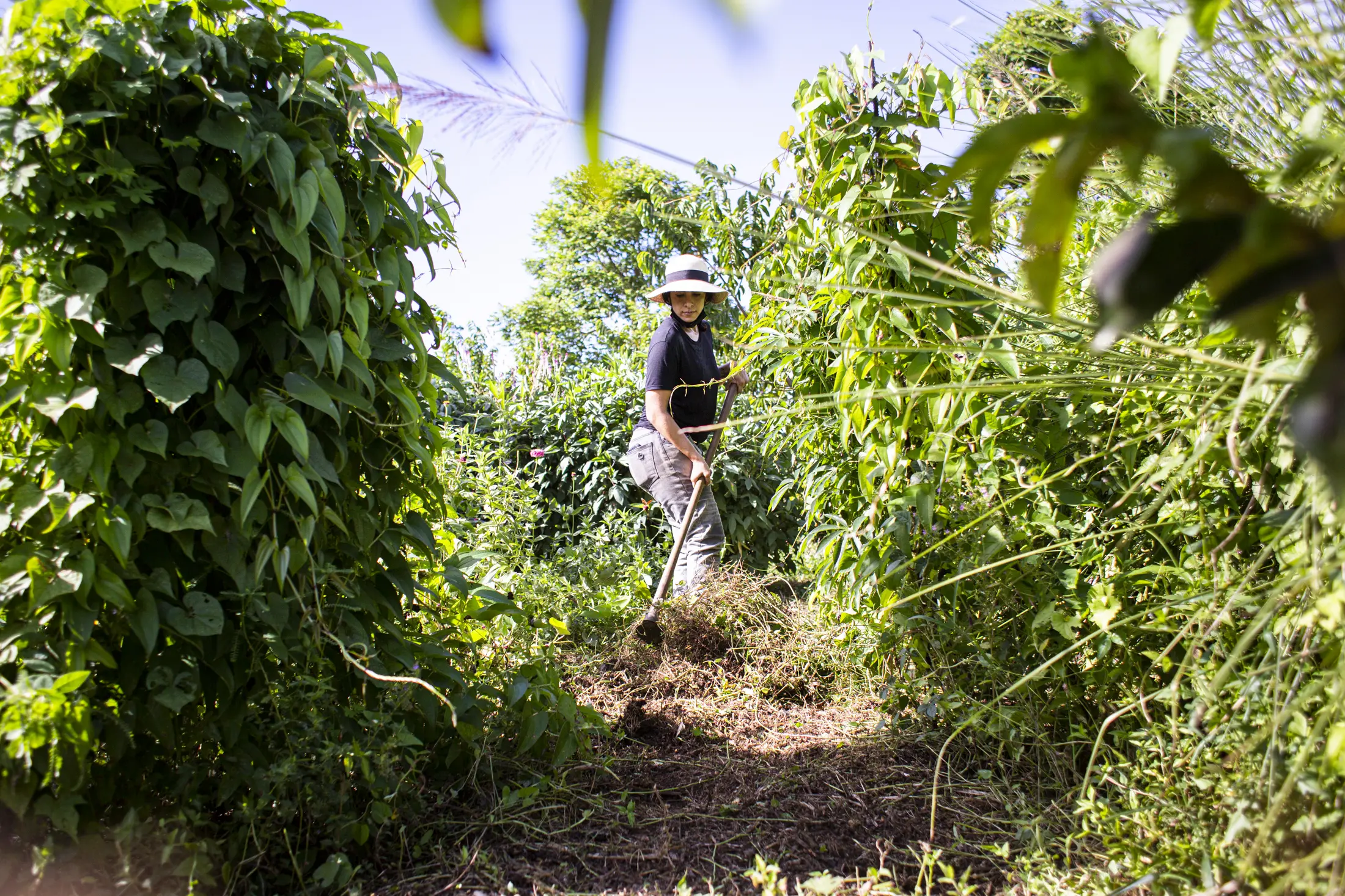 Woman works on a farm in PR