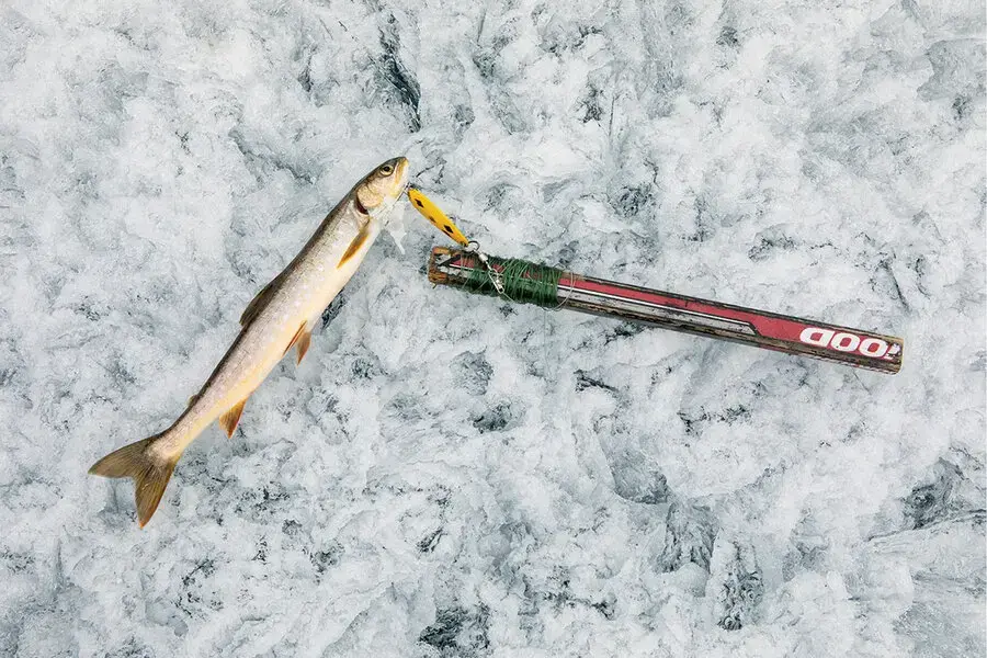 The Blue Collar Apprentice Minnow putting in work #icefishing #ice #wi