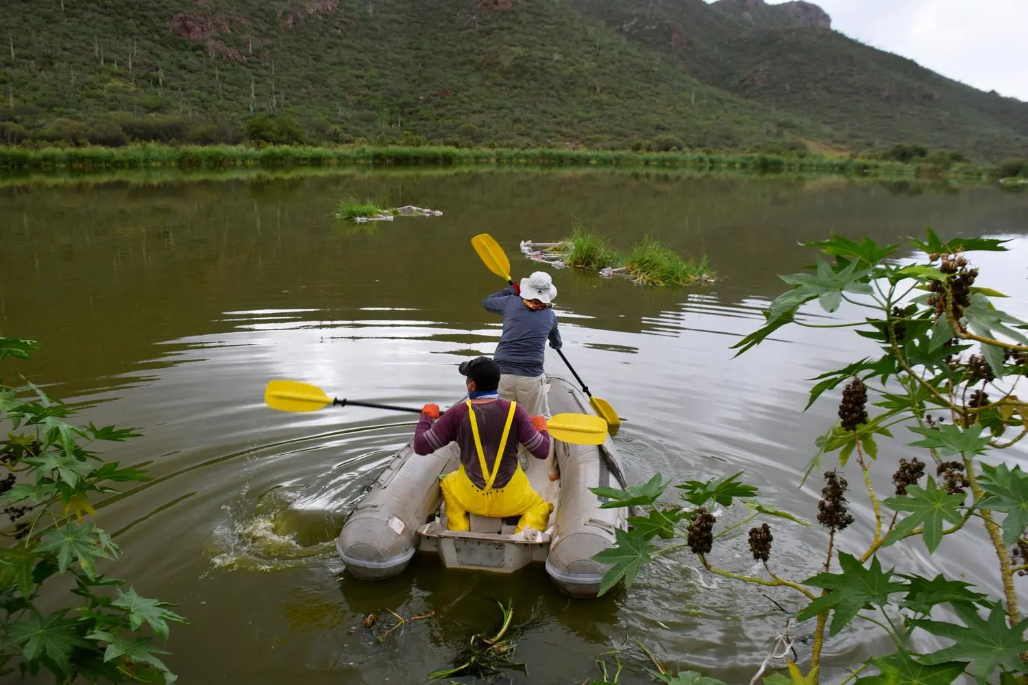 Researchers kayak into waste water