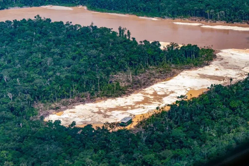 Rainforest Mafias: How Violence and Impunity Fuel Deforestation in