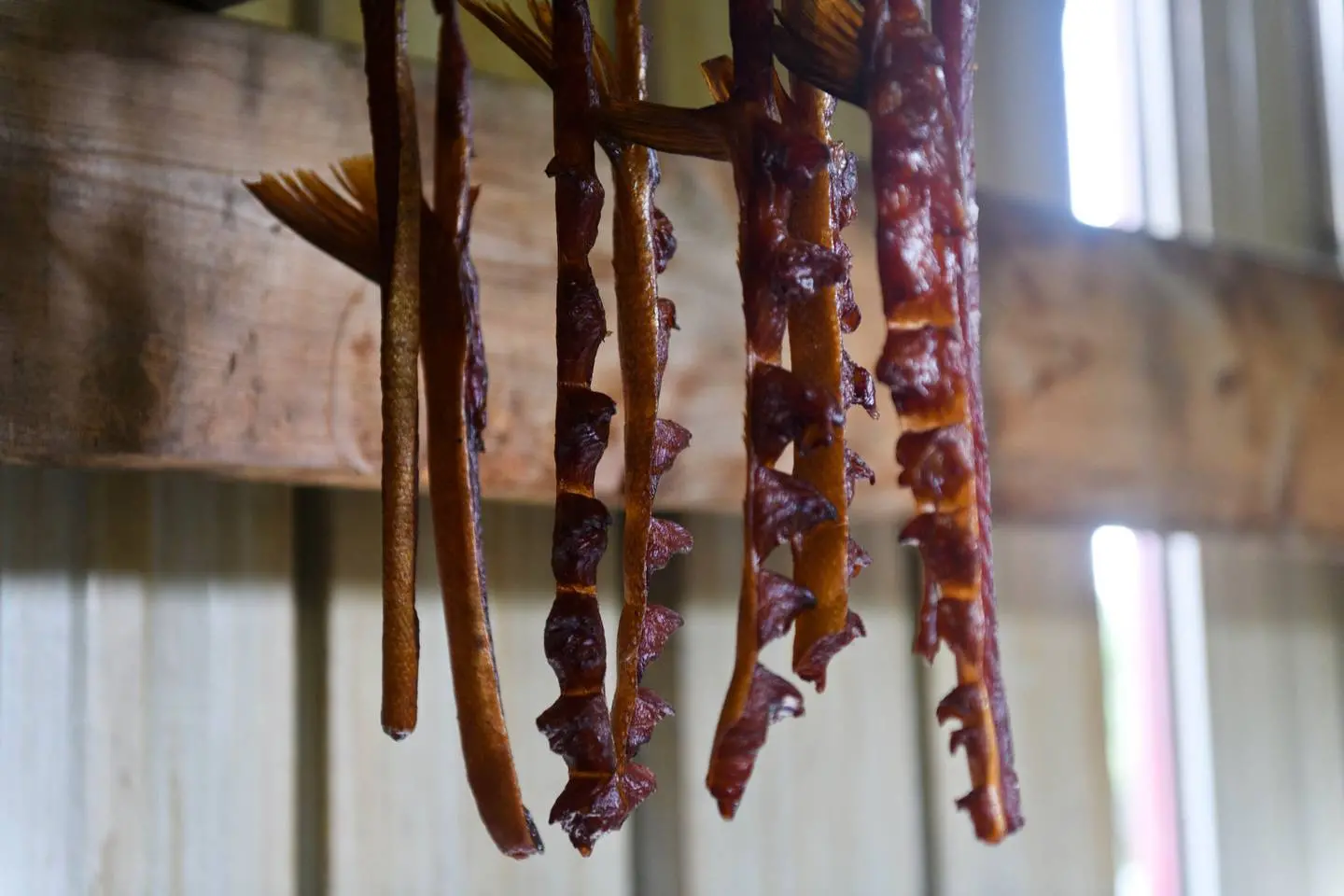 Salmon hangs in John Westlock's smokehouse in Emmonak