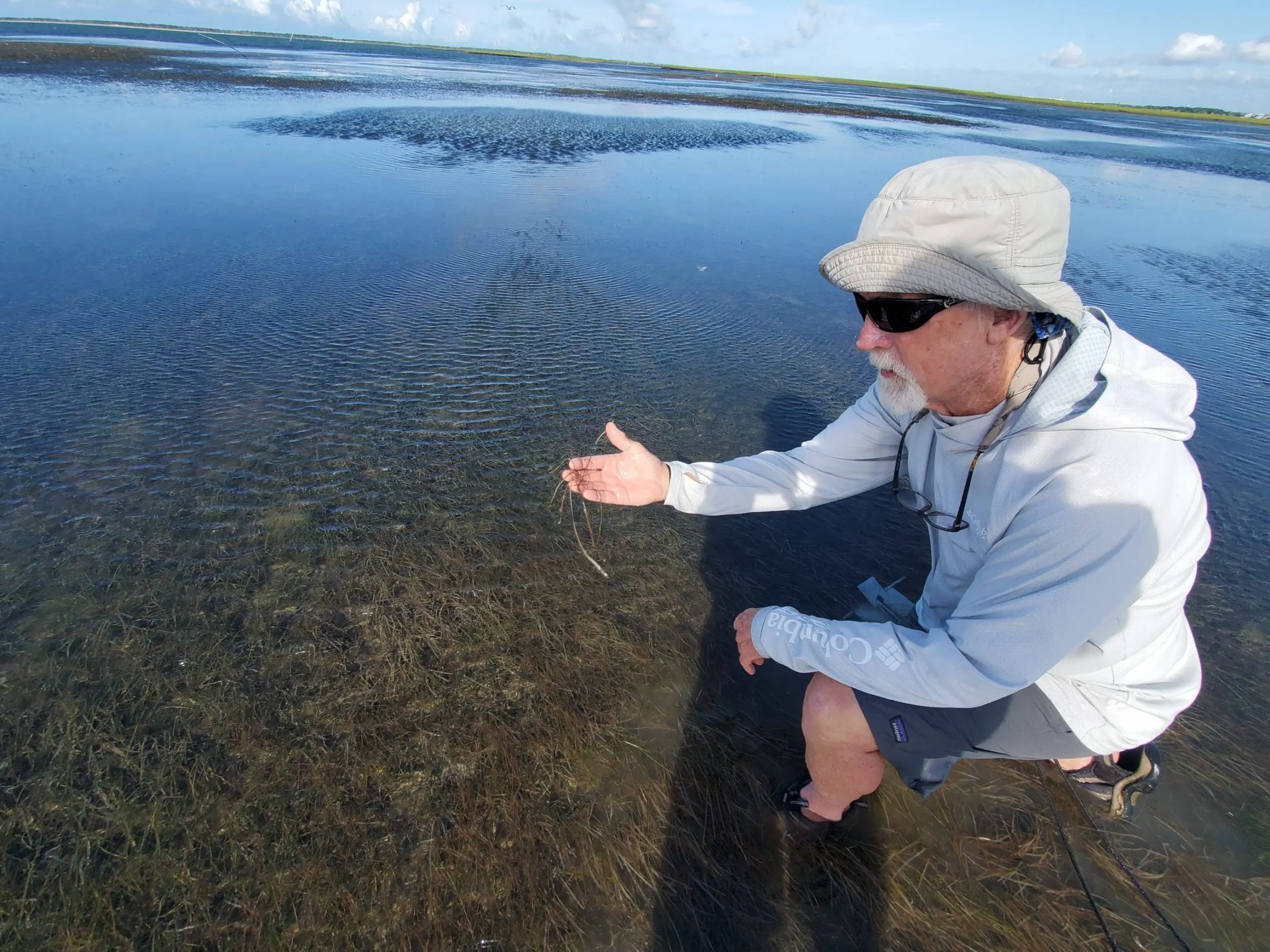 Scientist Jud Kenworthy examines seagrasses
