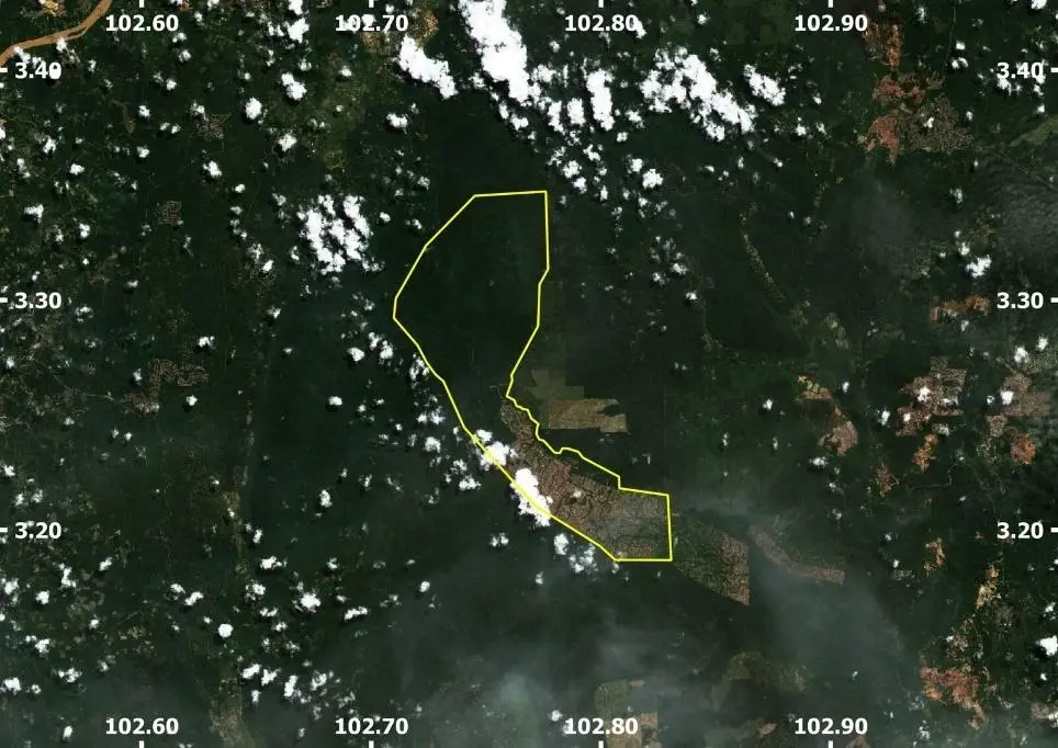 Map outlining plantation plans