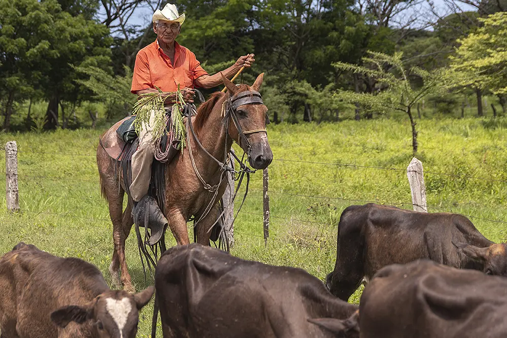 Man rides a horse