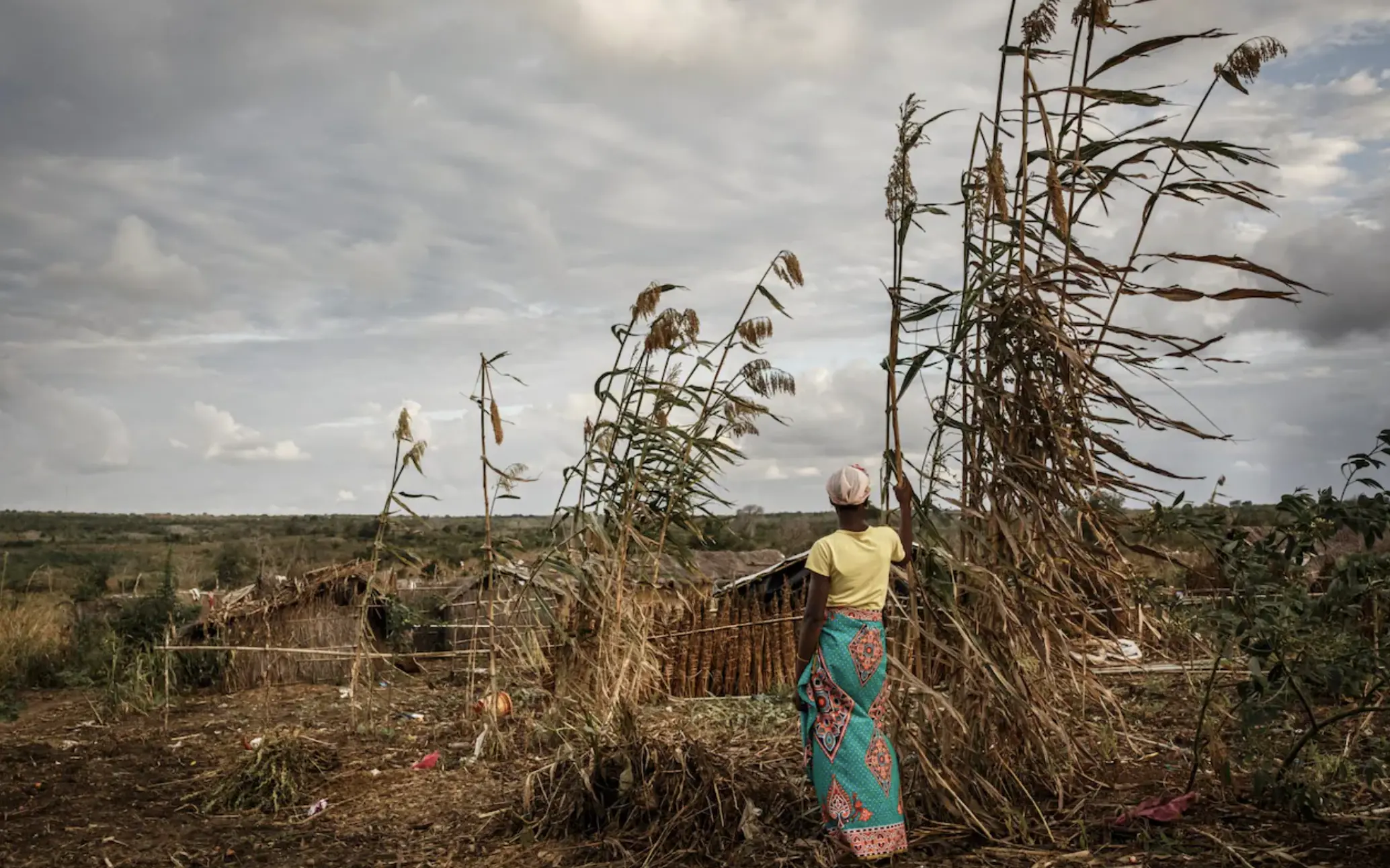 Woman stands in field