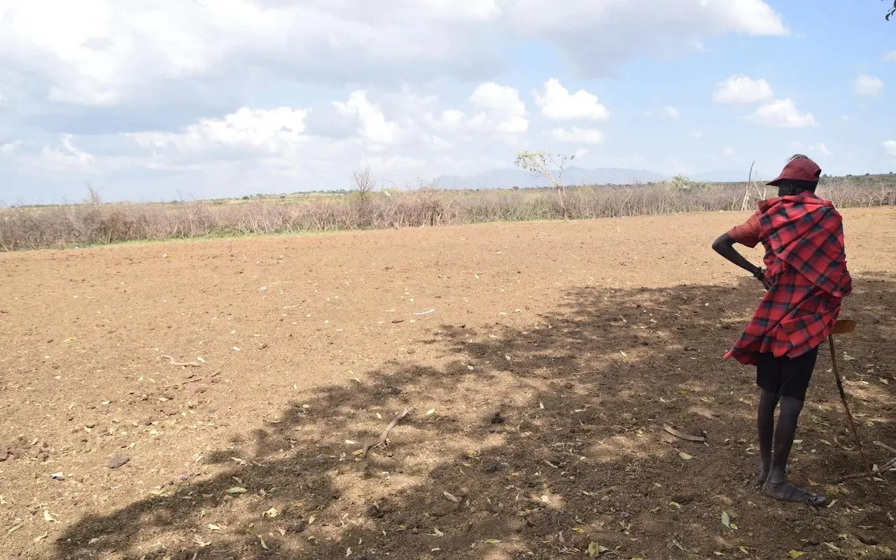 A farmer looks on their empty corral