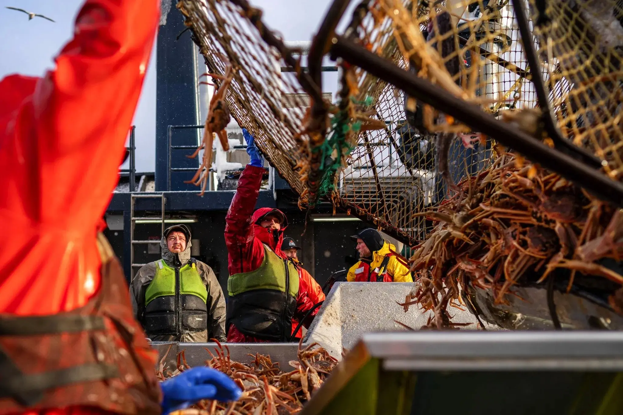 A Crab Boat's Quest for Snow Crab in a Bering Sea Upended by Climate Change