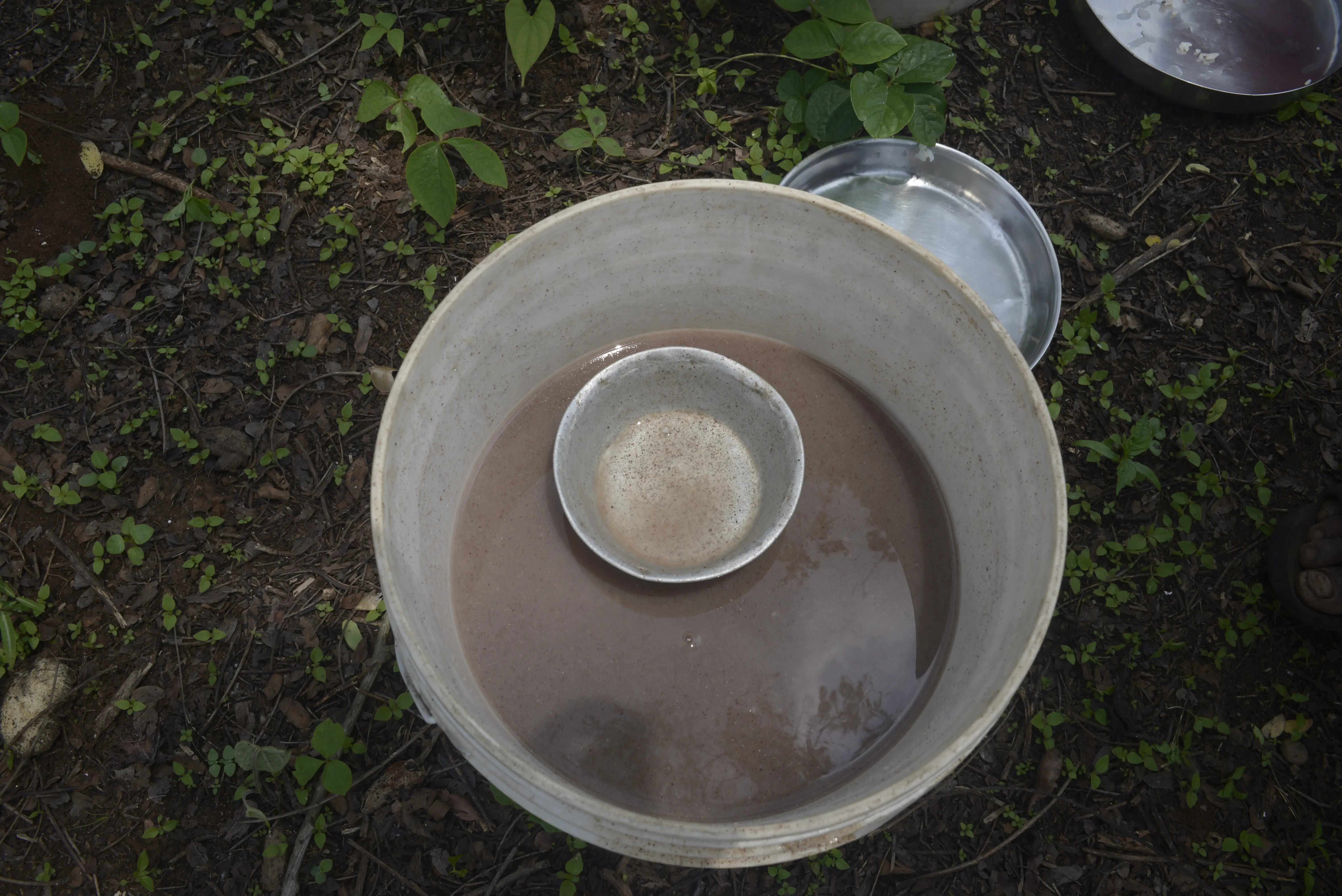 A pot of porridge cooks