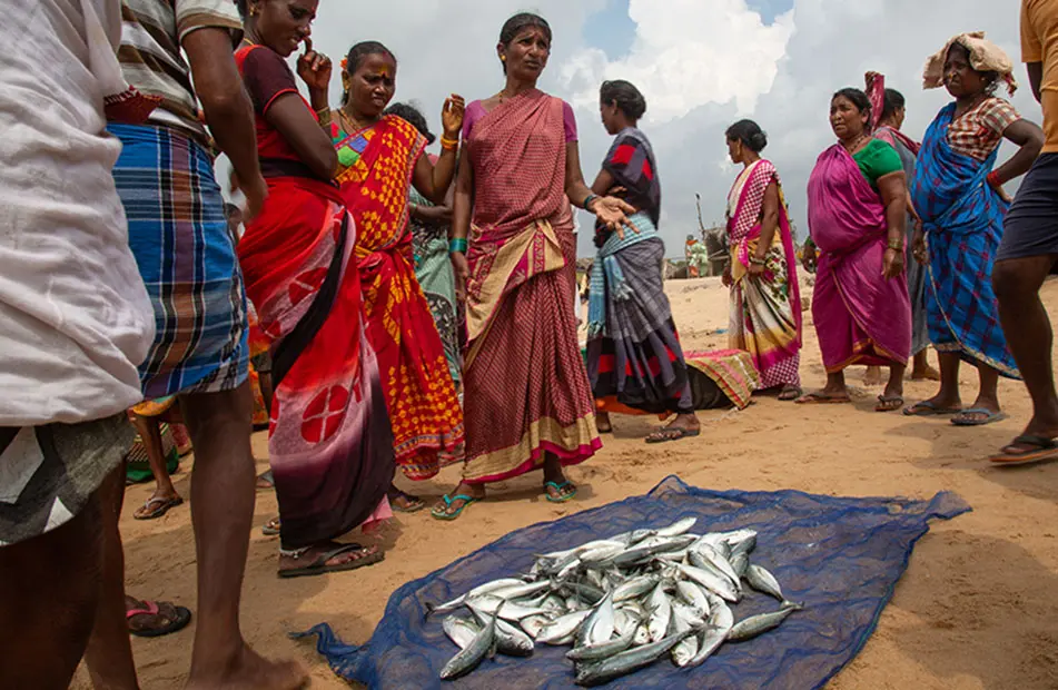 Marine fisheries policy: India's small-scale fishermen have been ignored  yet again