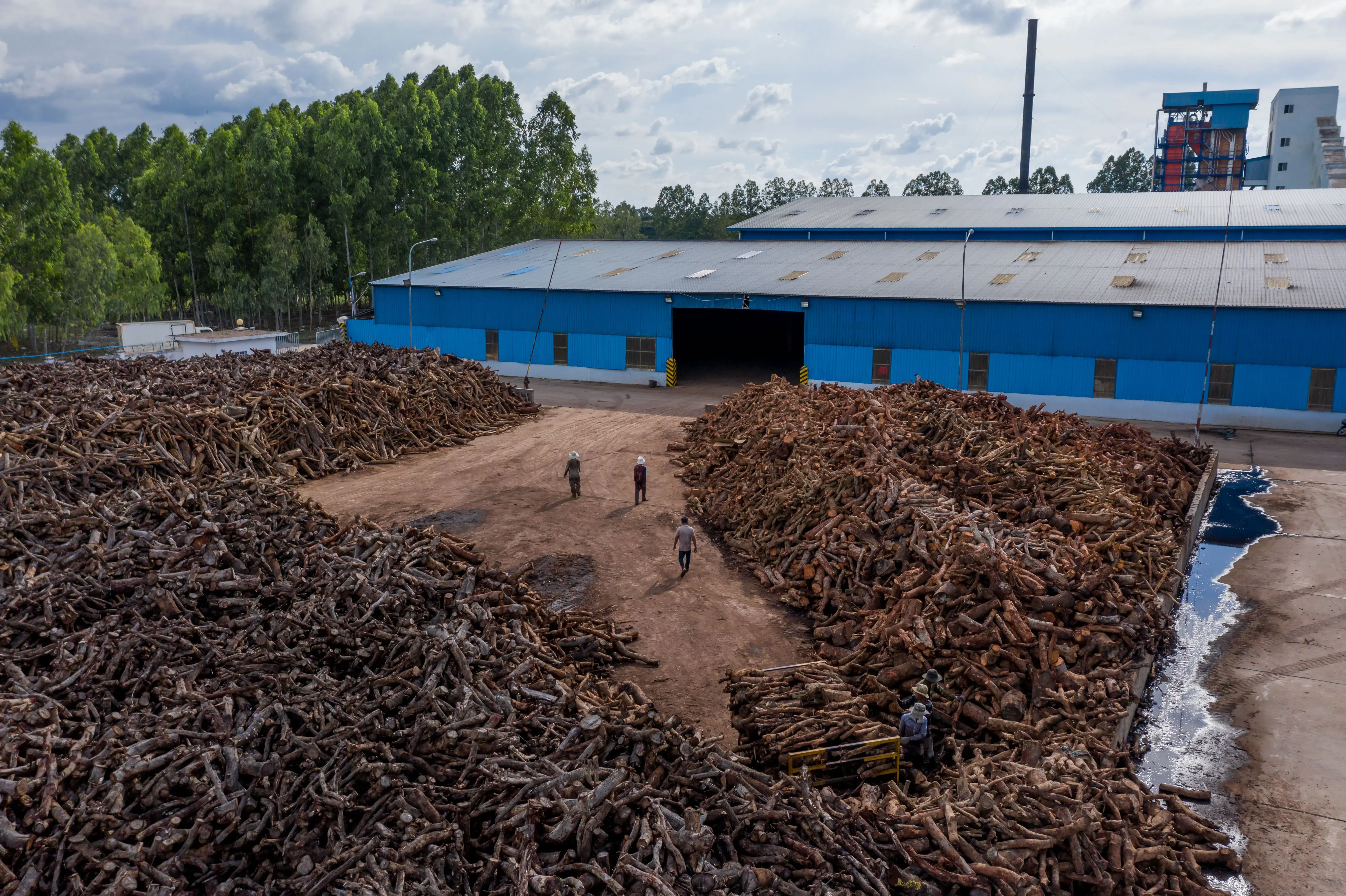 Goldfame Star Enterprises in Kandal province has one of the largest timber depots of any garment factory in Cambodia, but Catherine Chan - director of Goldfame Group - has repeatedly refuse to disclose the source of the timber. Credit: Andy Ball/Mongabay.
