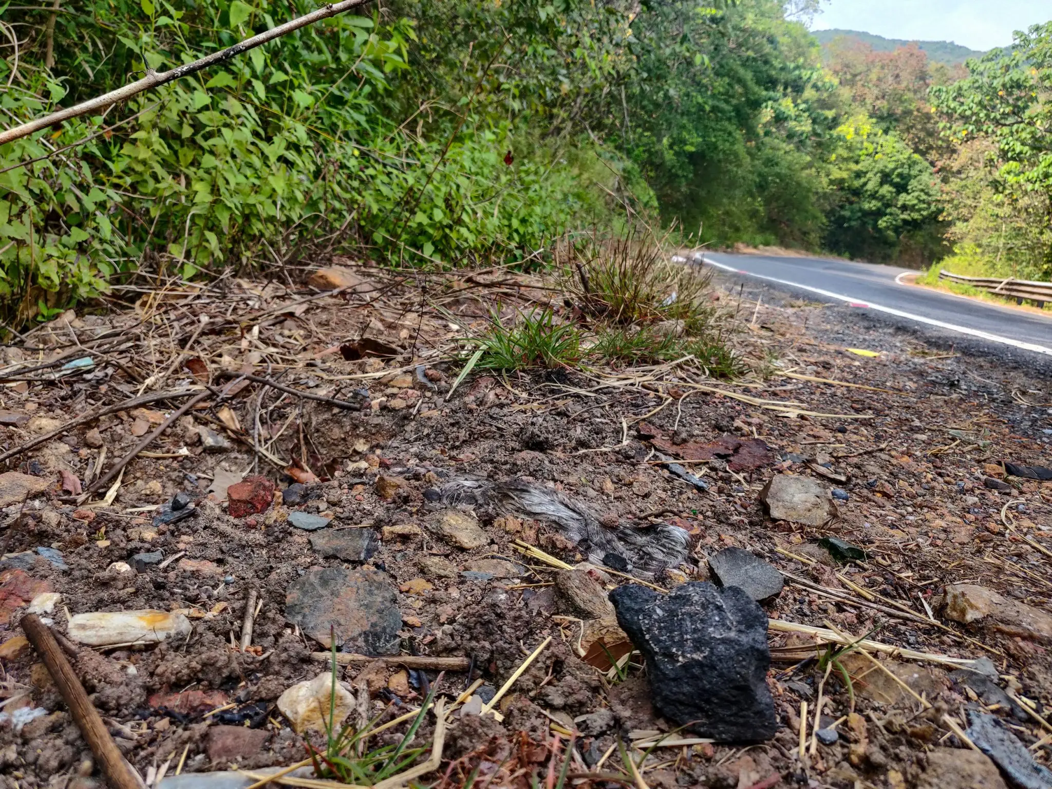 Chunks of goal next to the highway. 