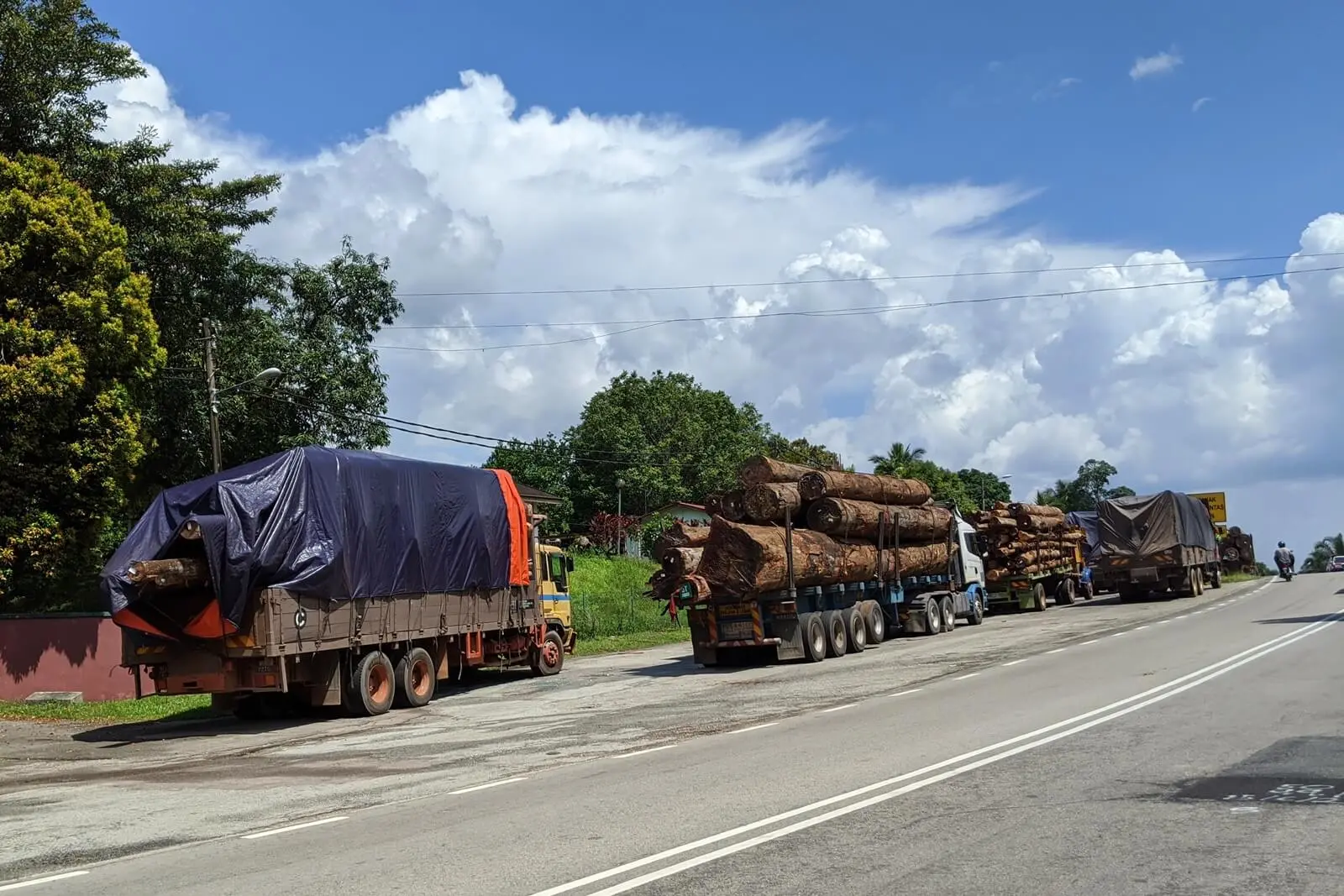 Logging trucks pulling the logs