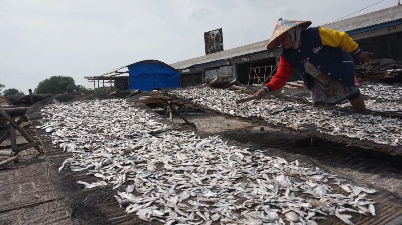 a woman organizes her fish