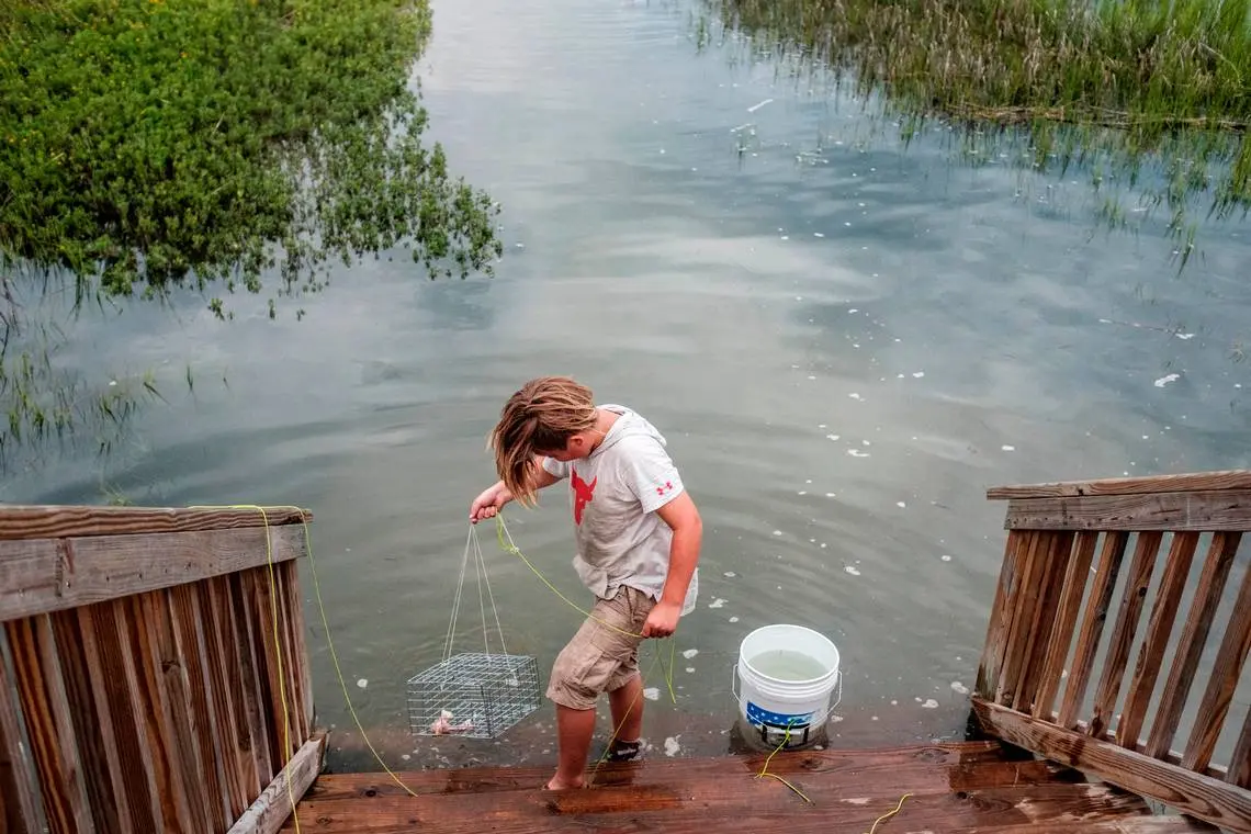 A young boy sets up crab traps during high tide