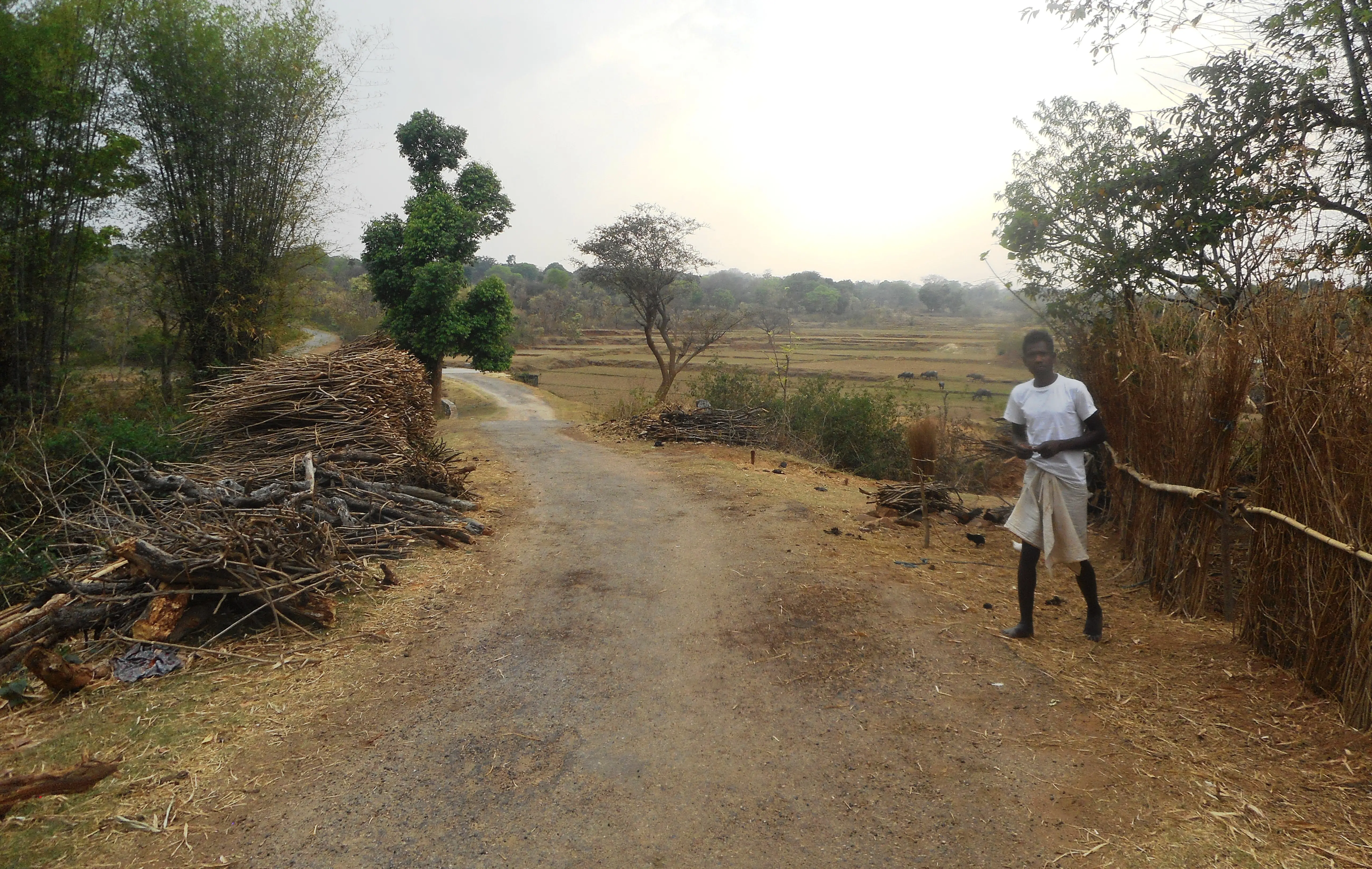 A man stands on the side of village road