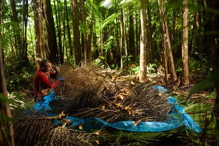 Prefeitura do Rio lança o programa Acãodemia Carioca, no Parcão da Lagoa -  Sopa Cultural