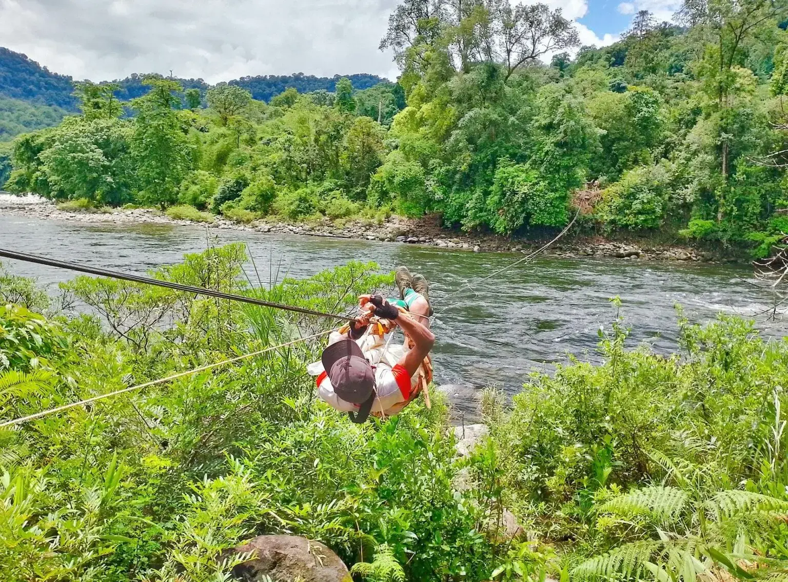 Cardamom Mountains Rainforests