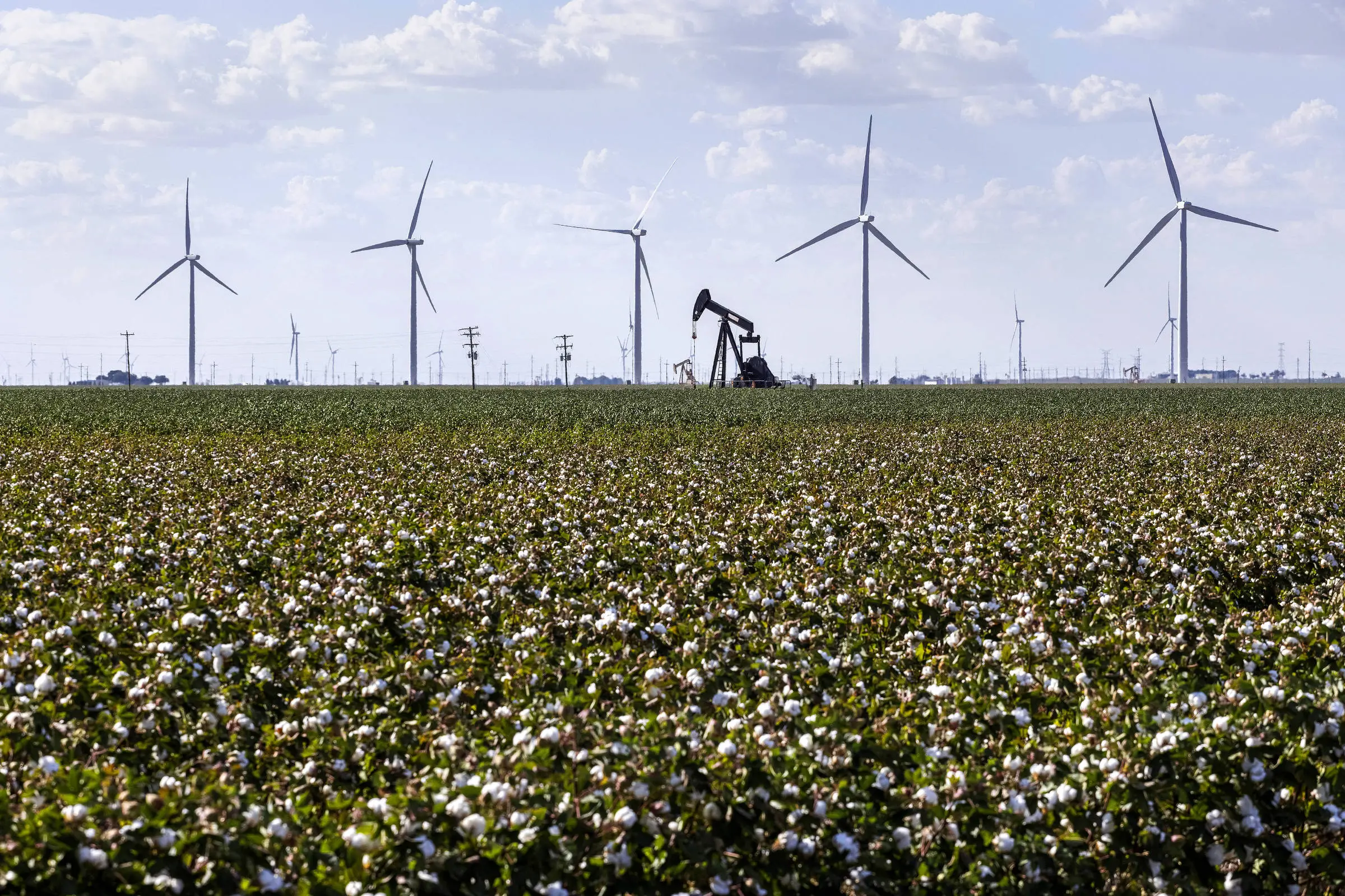 Oil well amid wind power generators near the city of Odessa, Texas. 