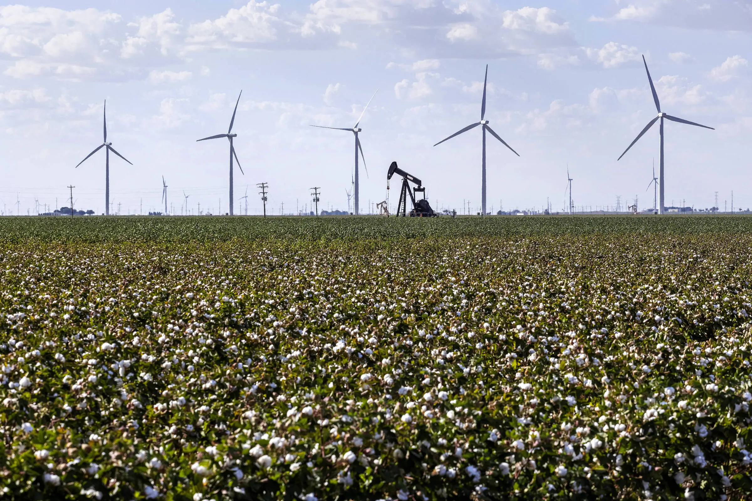 Oil well amid wind power generators near the city of Odessa, Texas.