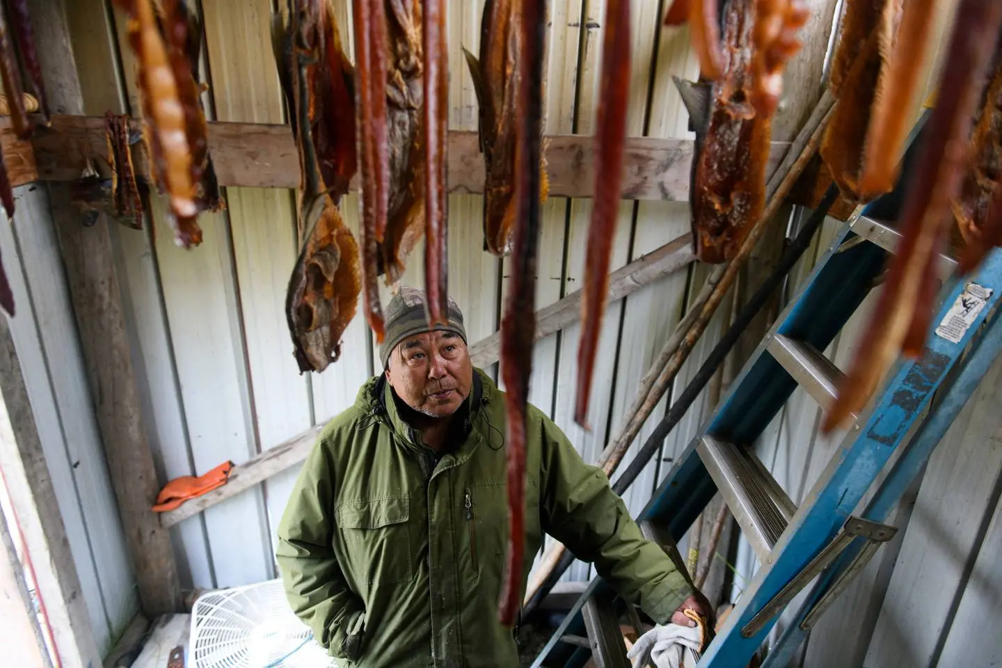 John Westlock looks up at the salmon that hangs in his smokehouse in Emmonak