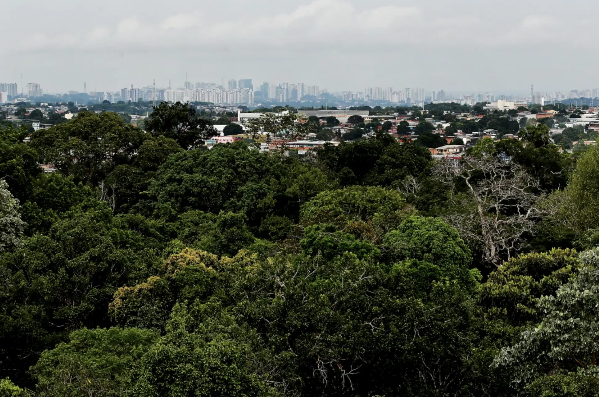 The high rises of Manaus jut out of the Amazon rainforest 