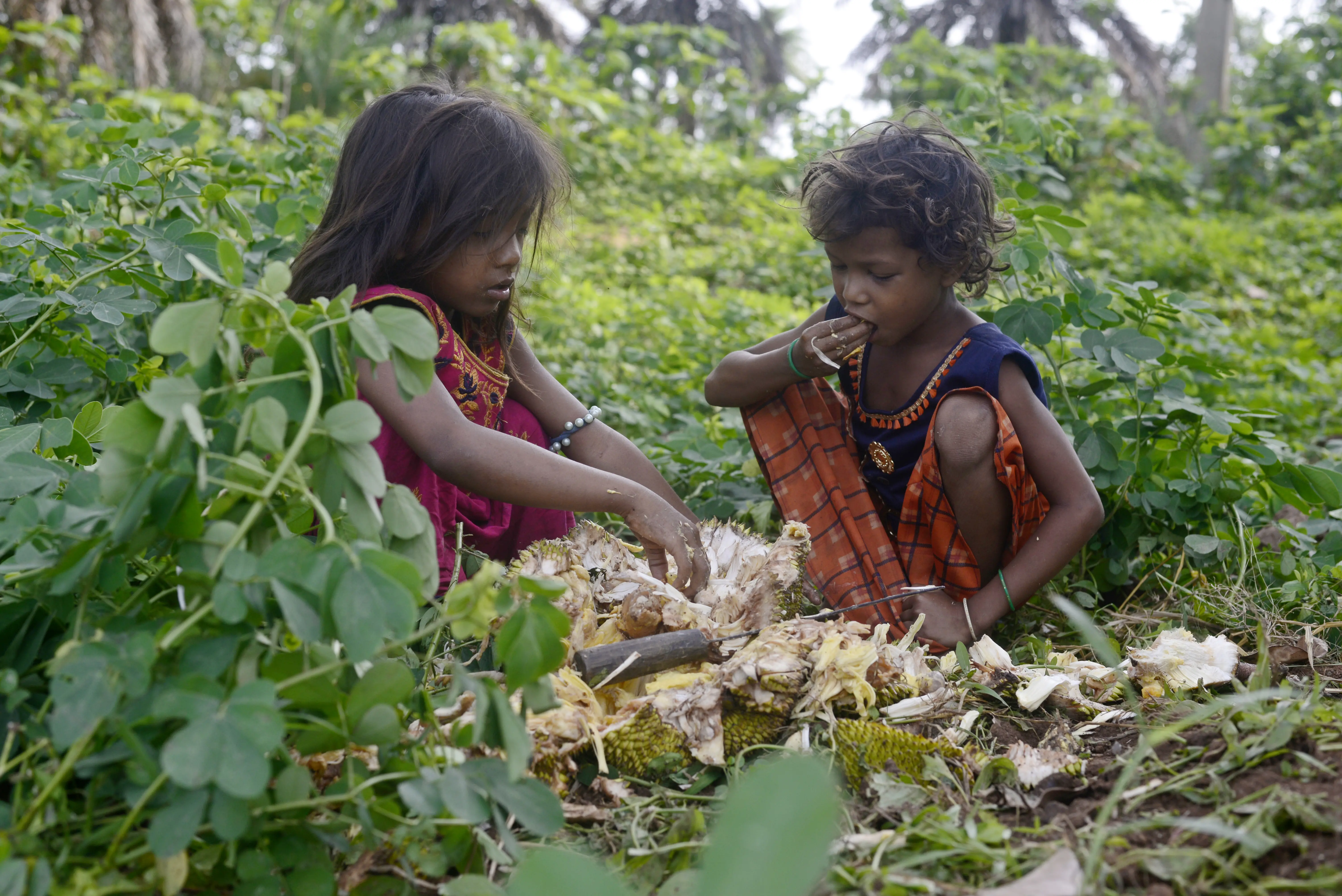 Two young children eat together in a forest area