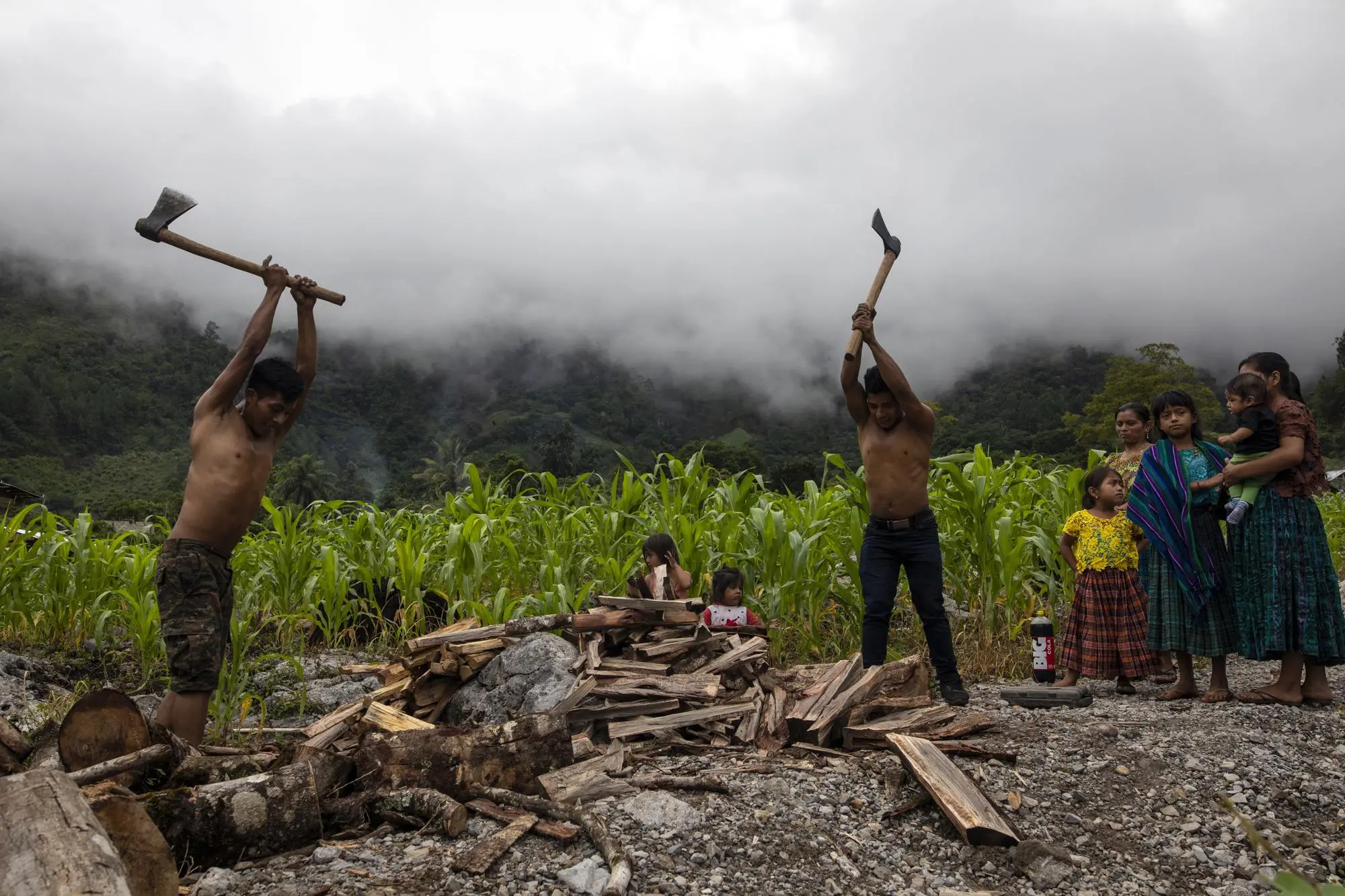 Men chop wood to help build the settlement while women look on.