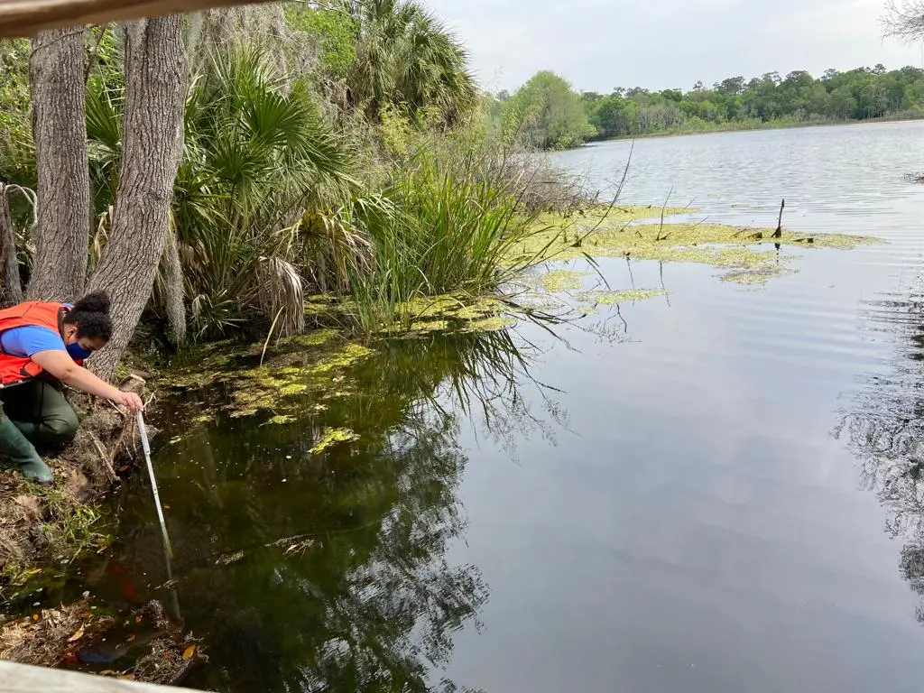 A woman wearing reflective vest dips a white pole into the lakes edge. There are bits of algae floating in the water, but the majority of the lake surface is clear.