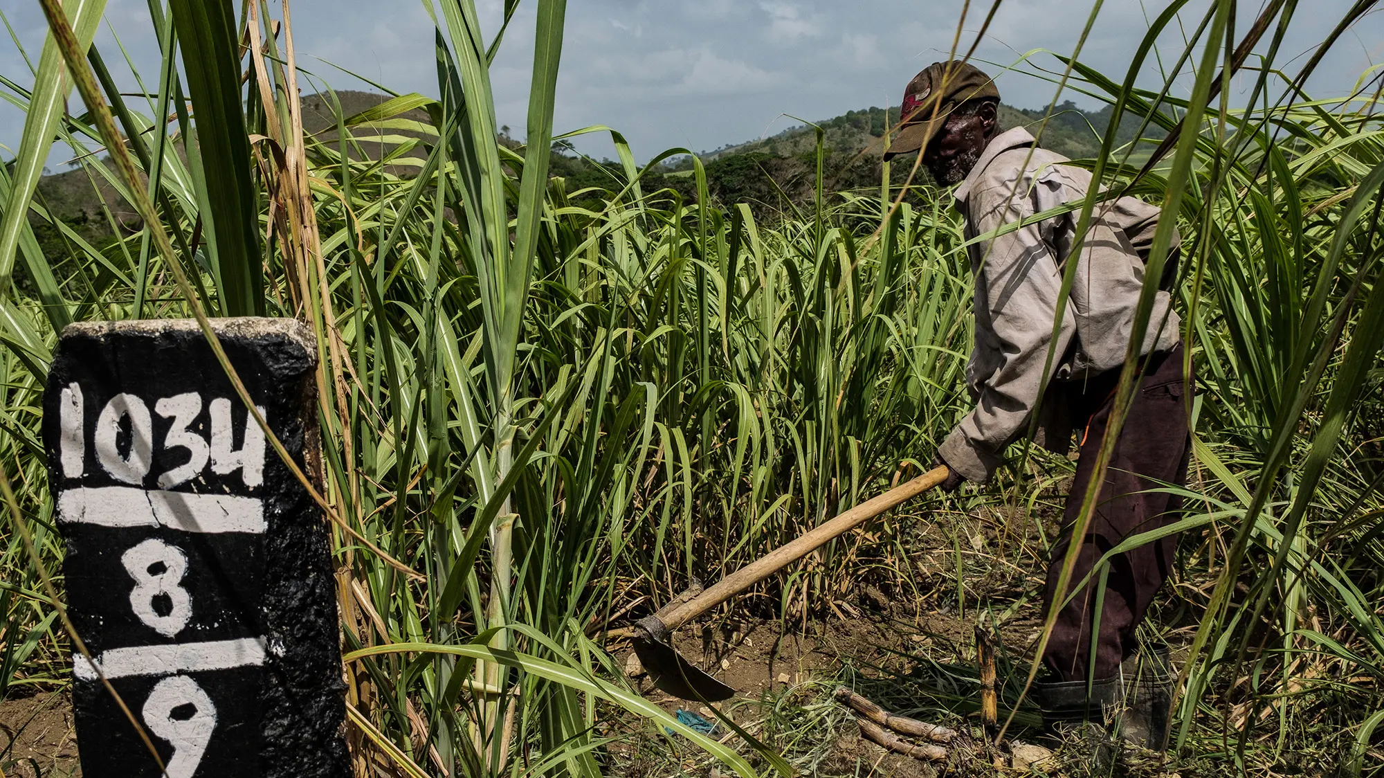 A man chopping sugar