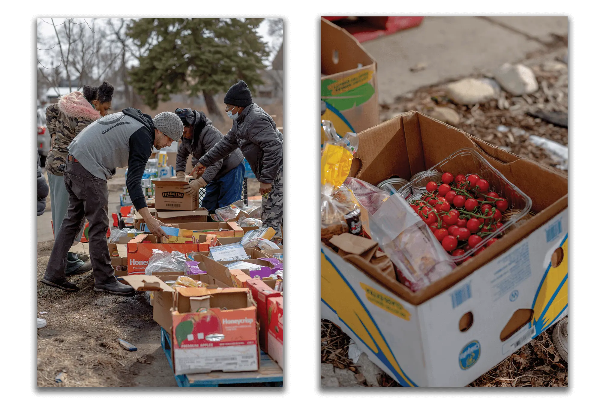 food distribution and sorting