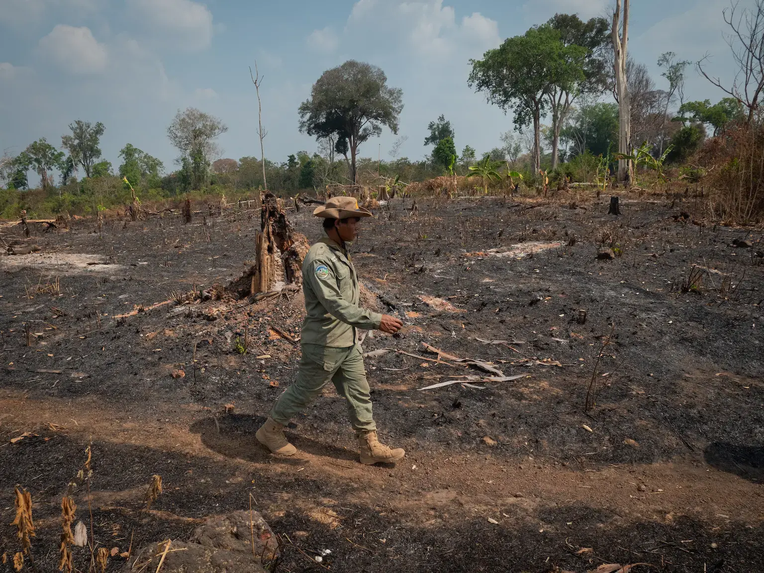 Emissions trading - Wikipedia