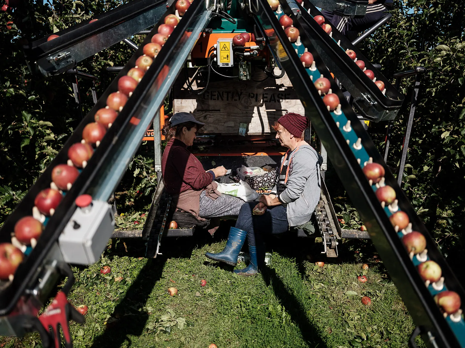Niculina Miri, 57, and Angela Morenciu, 54, seasonal workers, have lunch on the apple picking platform.