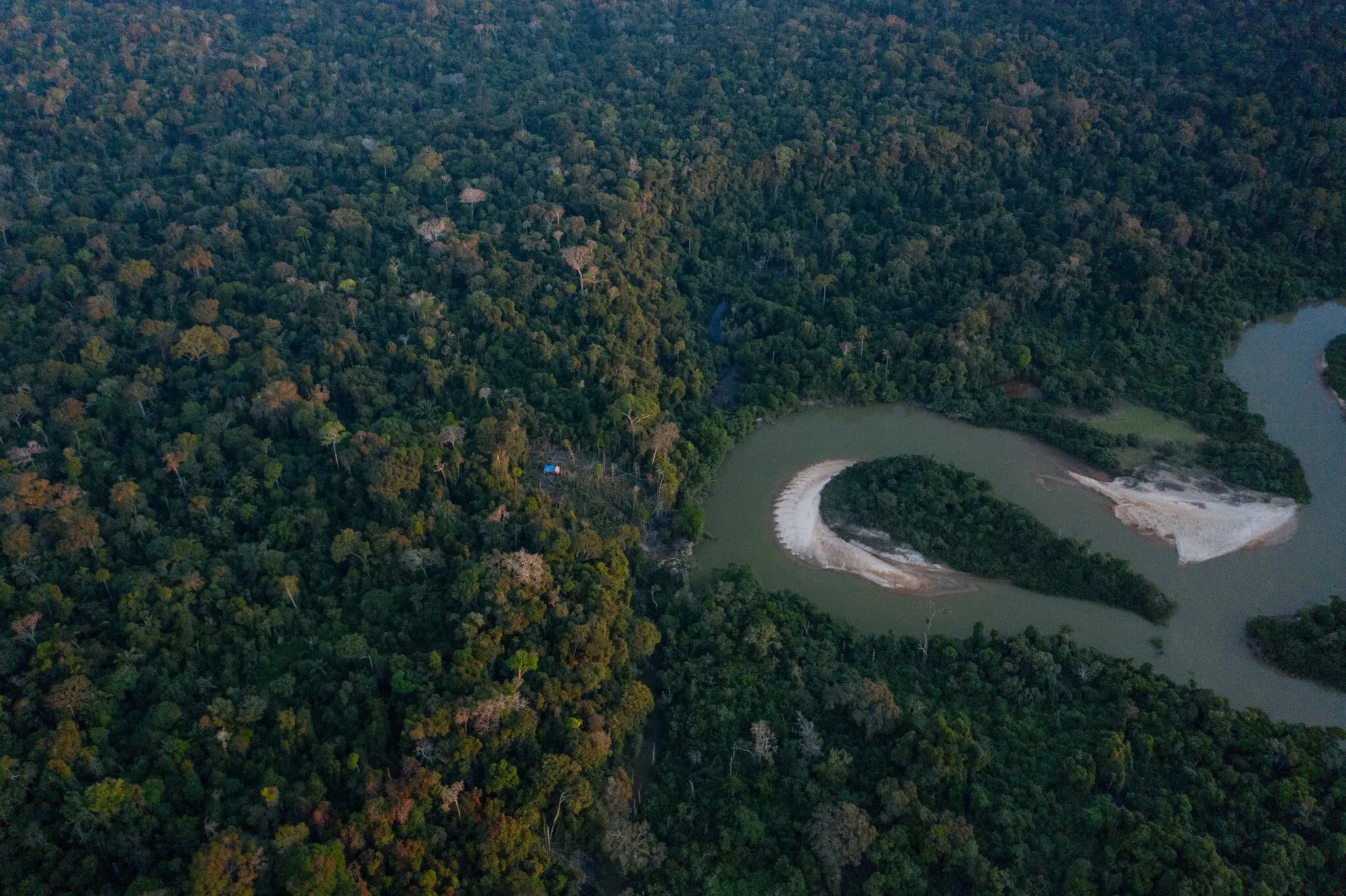 El área forestal donde Durães vive