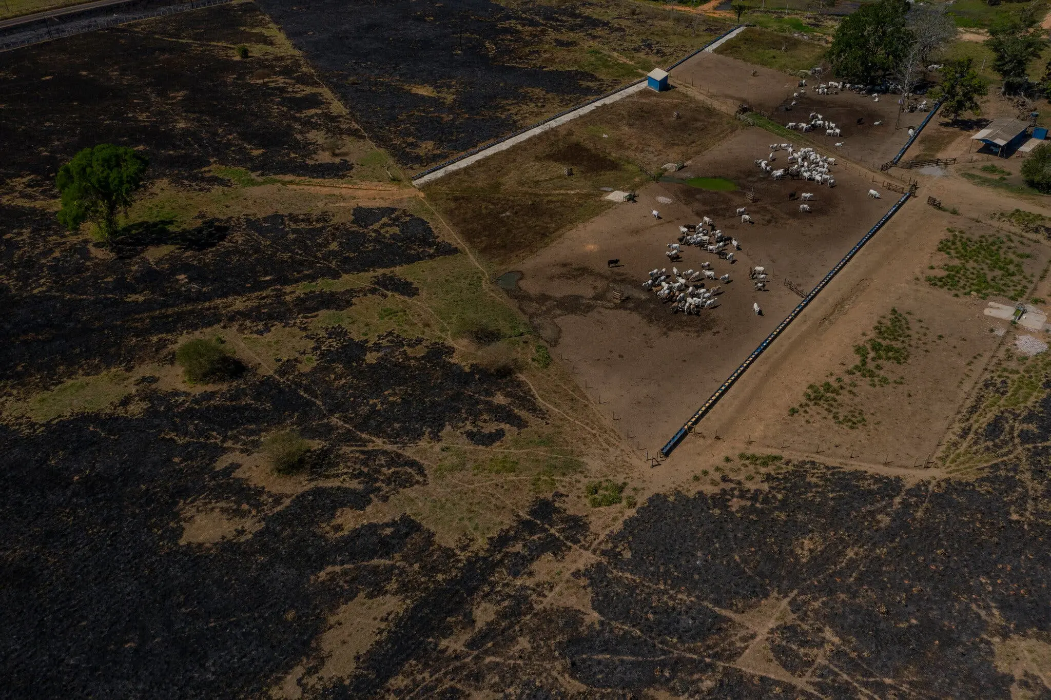 Una finca colindante con una zona quemada cerca de Cacoal, en Rondônia.
