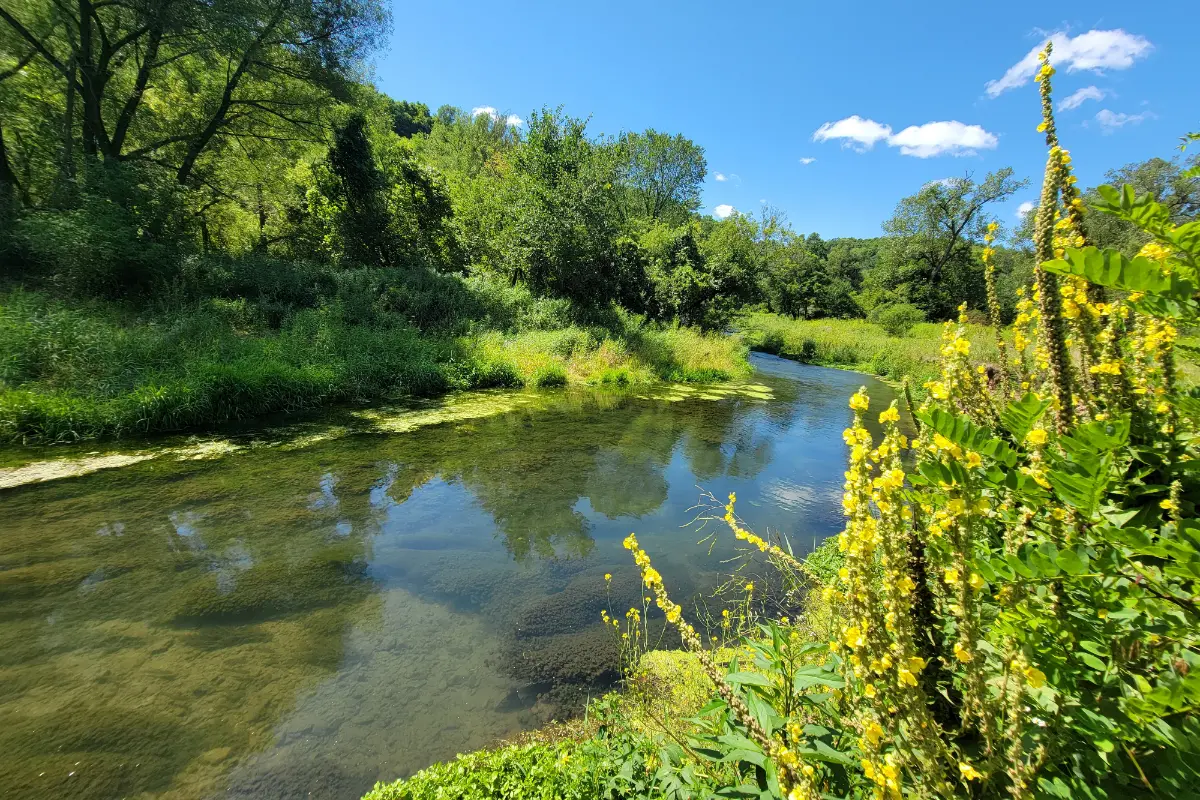 view of Bloody Run Creek