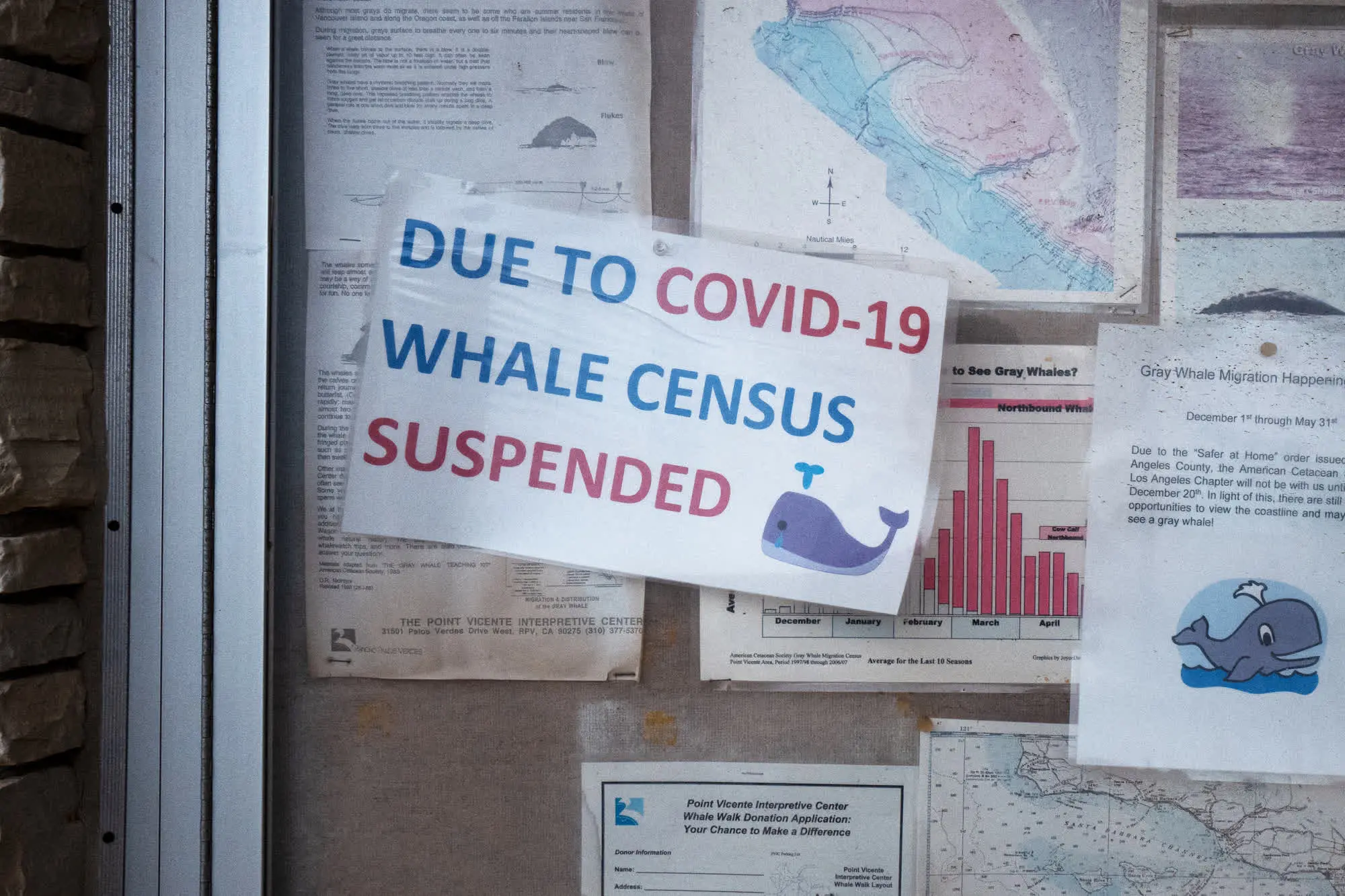 A sign reads, Due to COVID-19, whale census suspended.