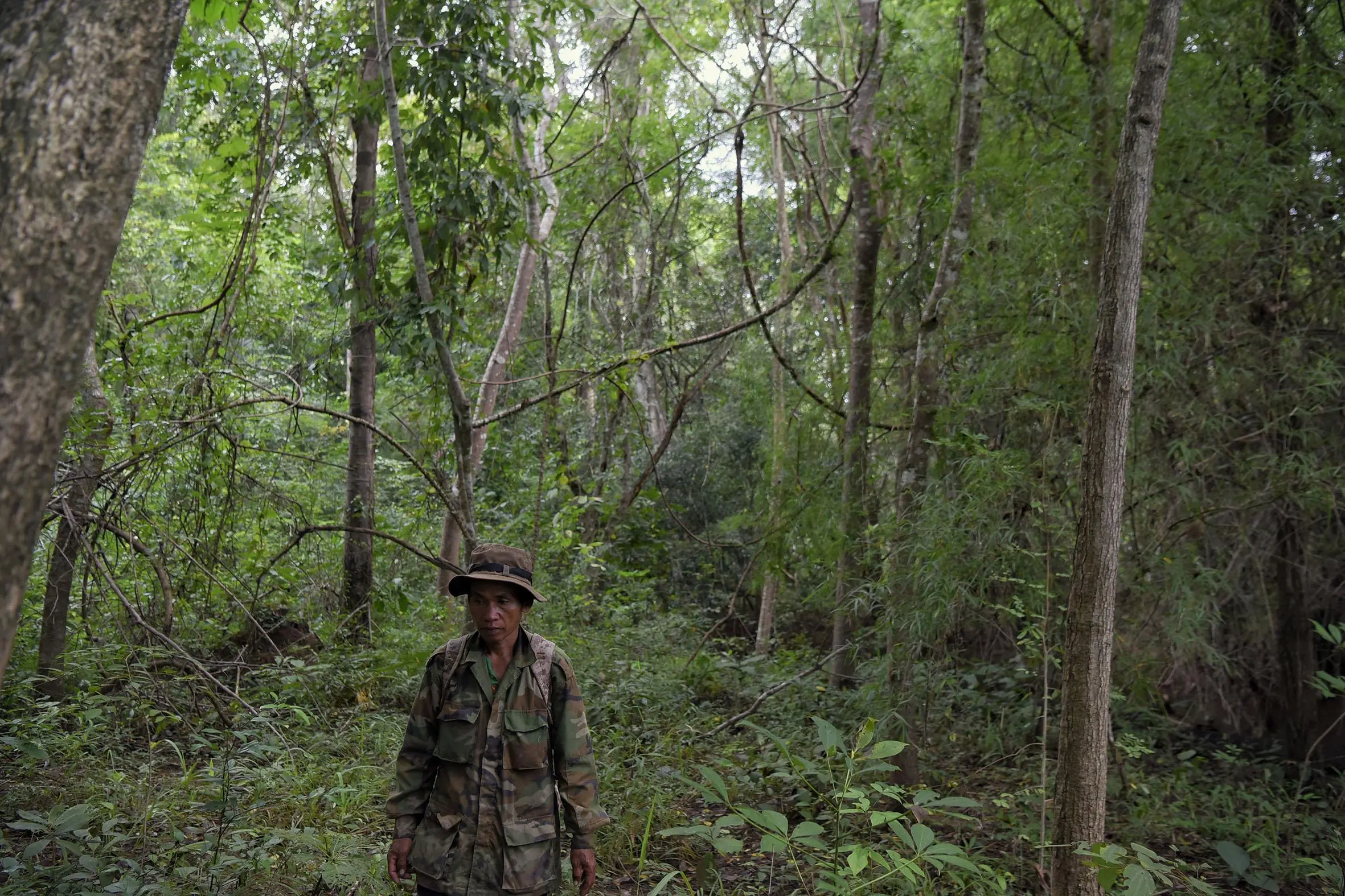 A man in camouflage stands in the forest.