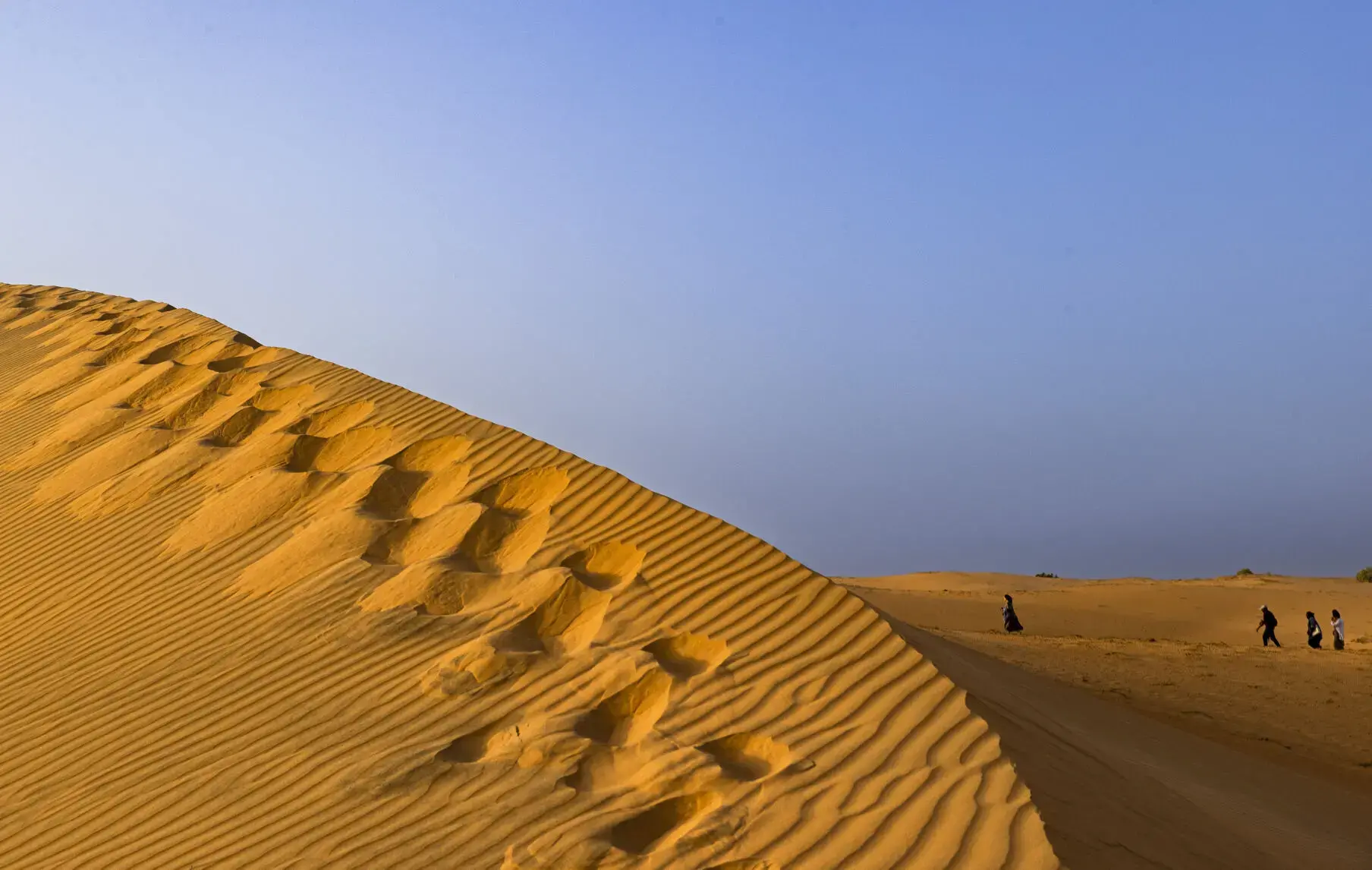 sahara desert climate night