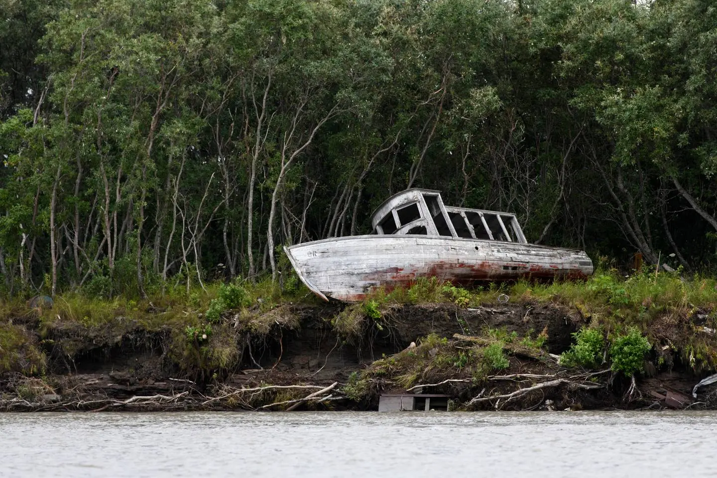 A rotted boat on shore of Yukon River