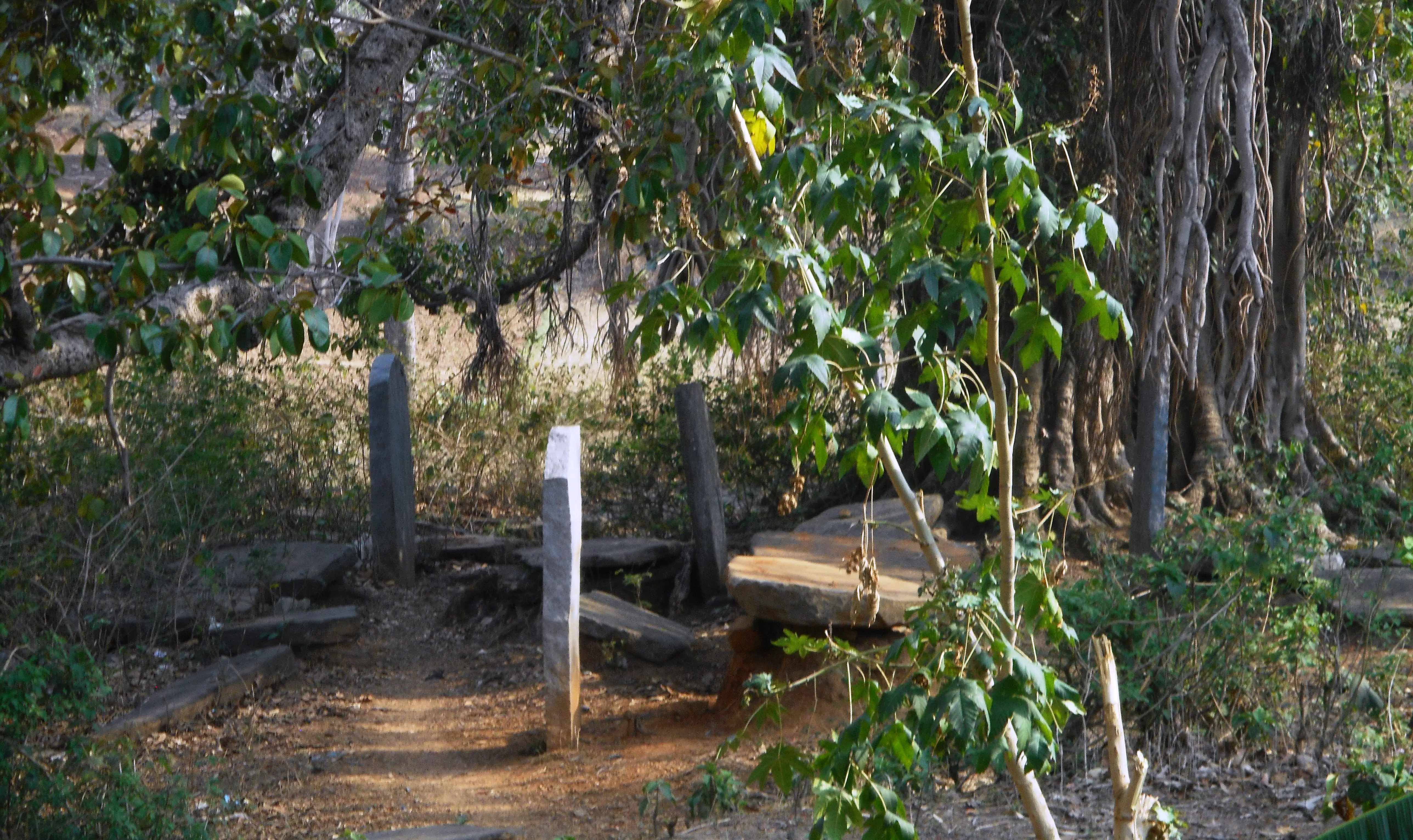 An erect stone in a forest area.