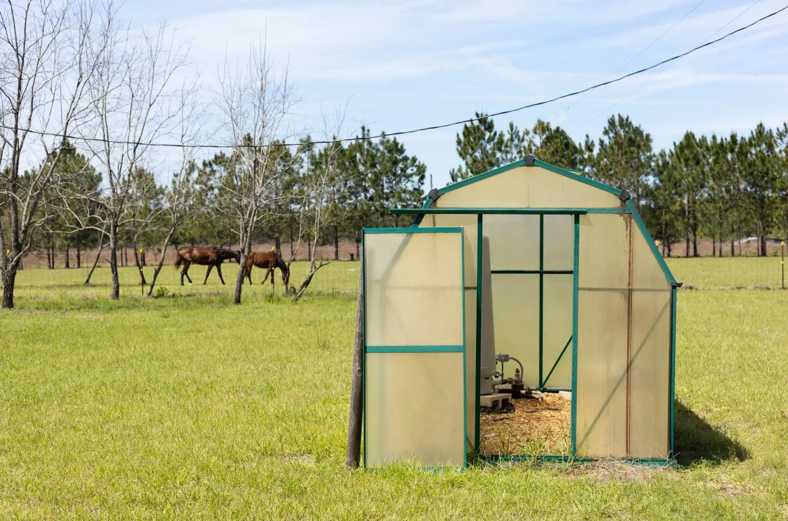 a small greenhouse with a door open stands in a flat field. There are two horses in the background eating grass. Inside the shed is machinery.