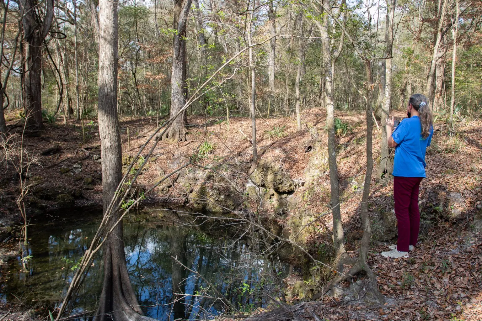 a woman takes a picture with her smart phone of a small pit of water in a wooded area