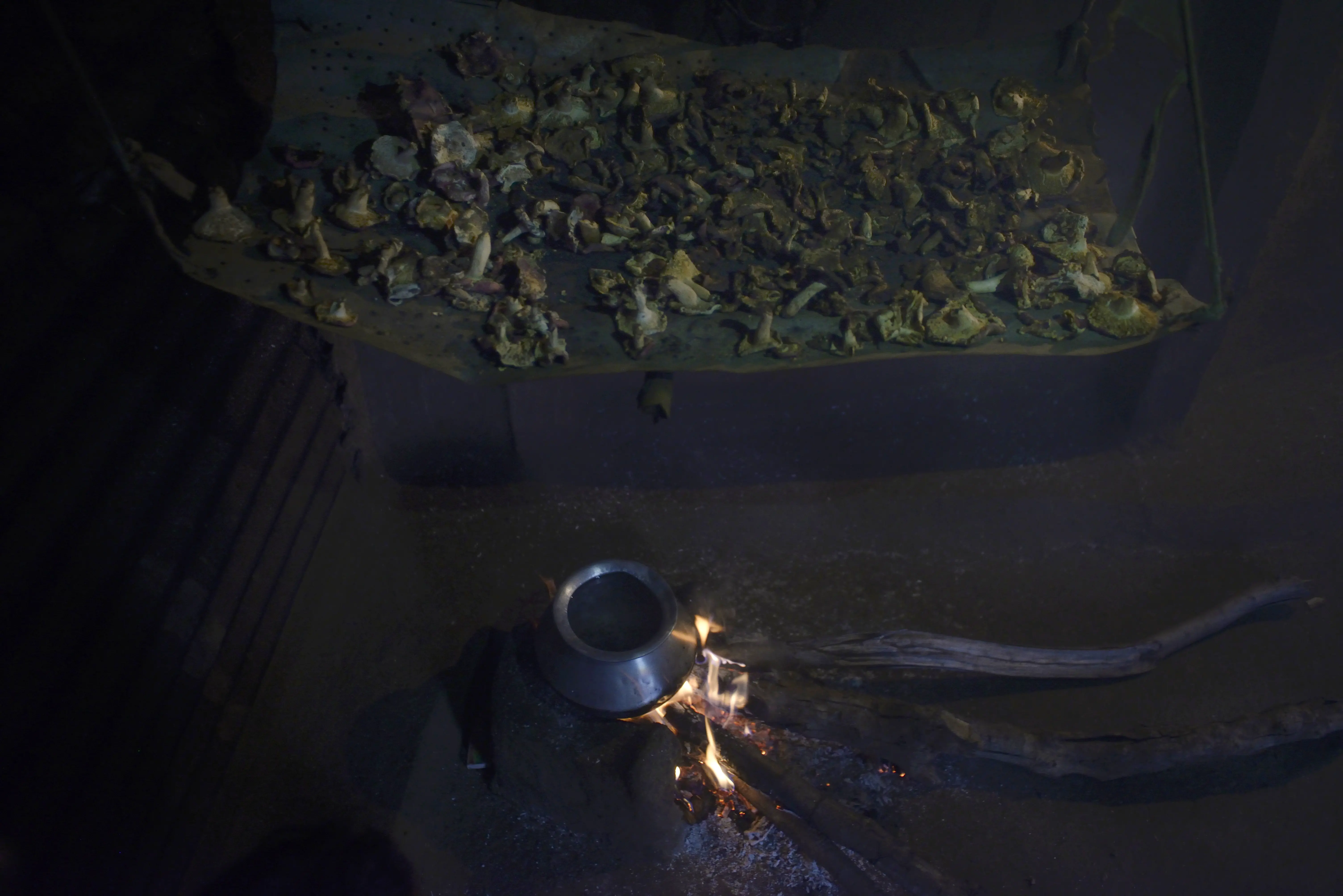 Mushrooms sit above a pot on a small fire