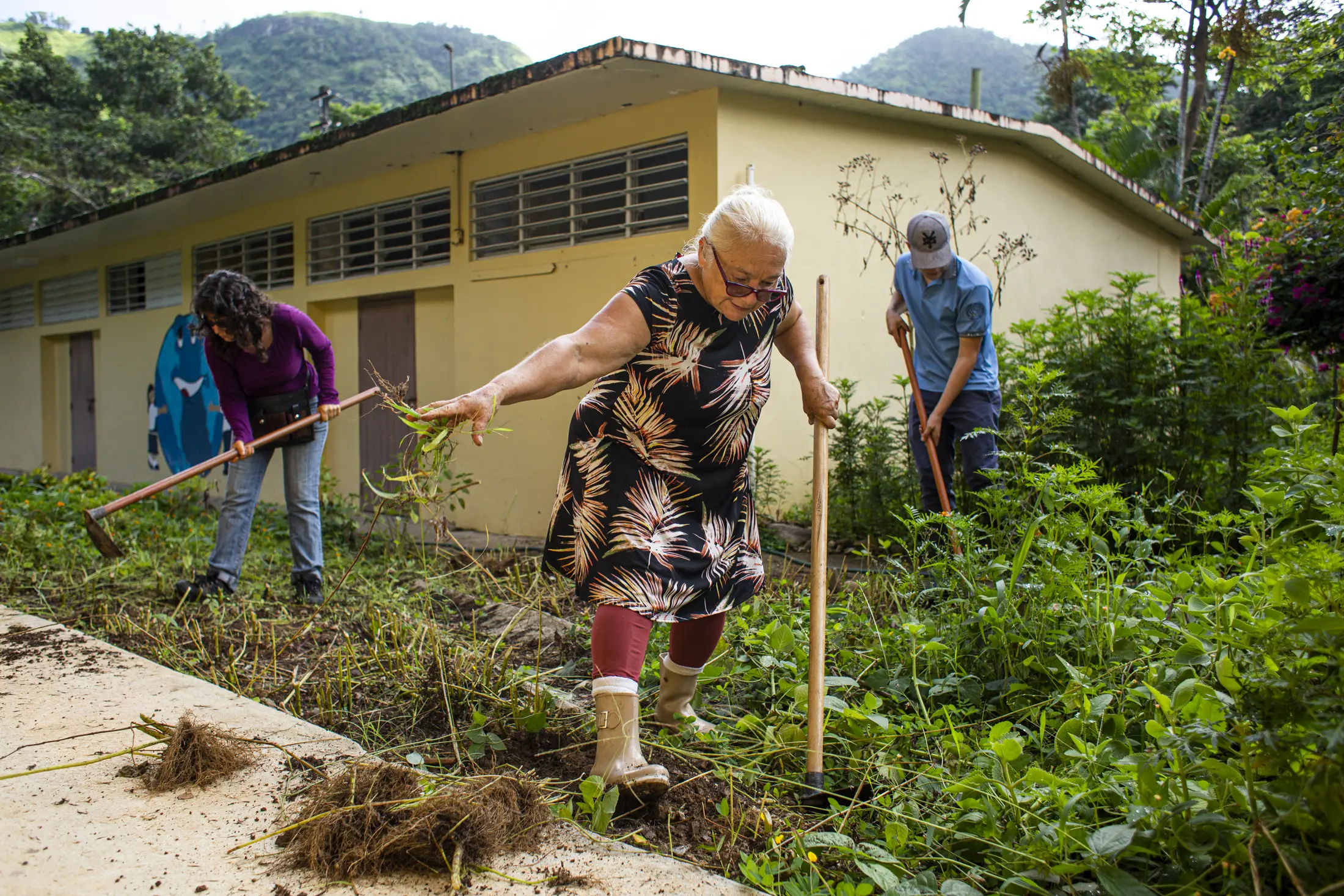 ‘A National Call for Food Production:’ Sustainable Farming Seeks ...