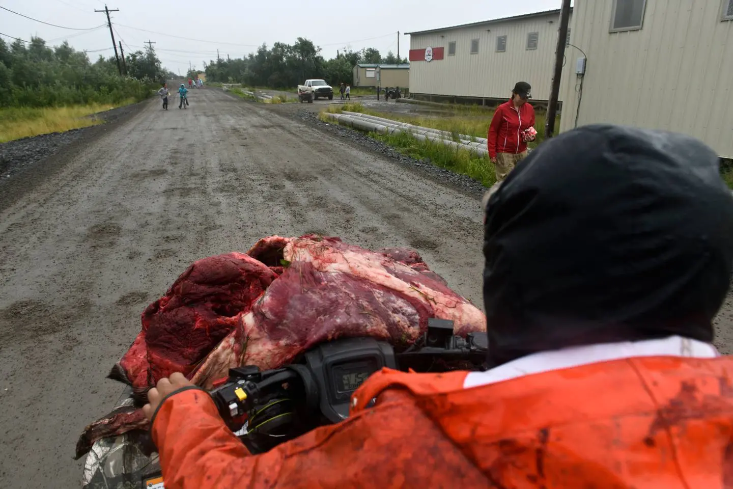 Emmonak resident delivers moose meat on an ATV to other residents