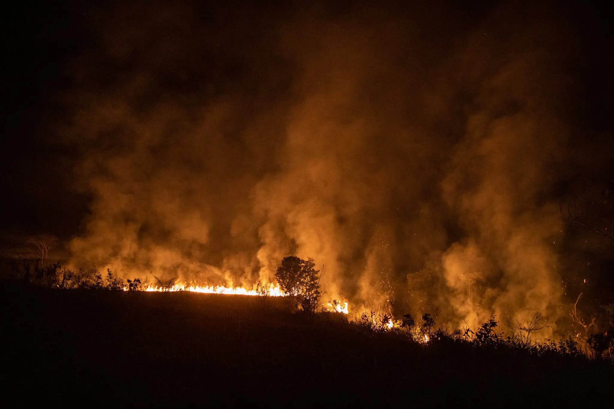 Pastizales en llamas cerca de Porto Velho, la capital de Rondônia