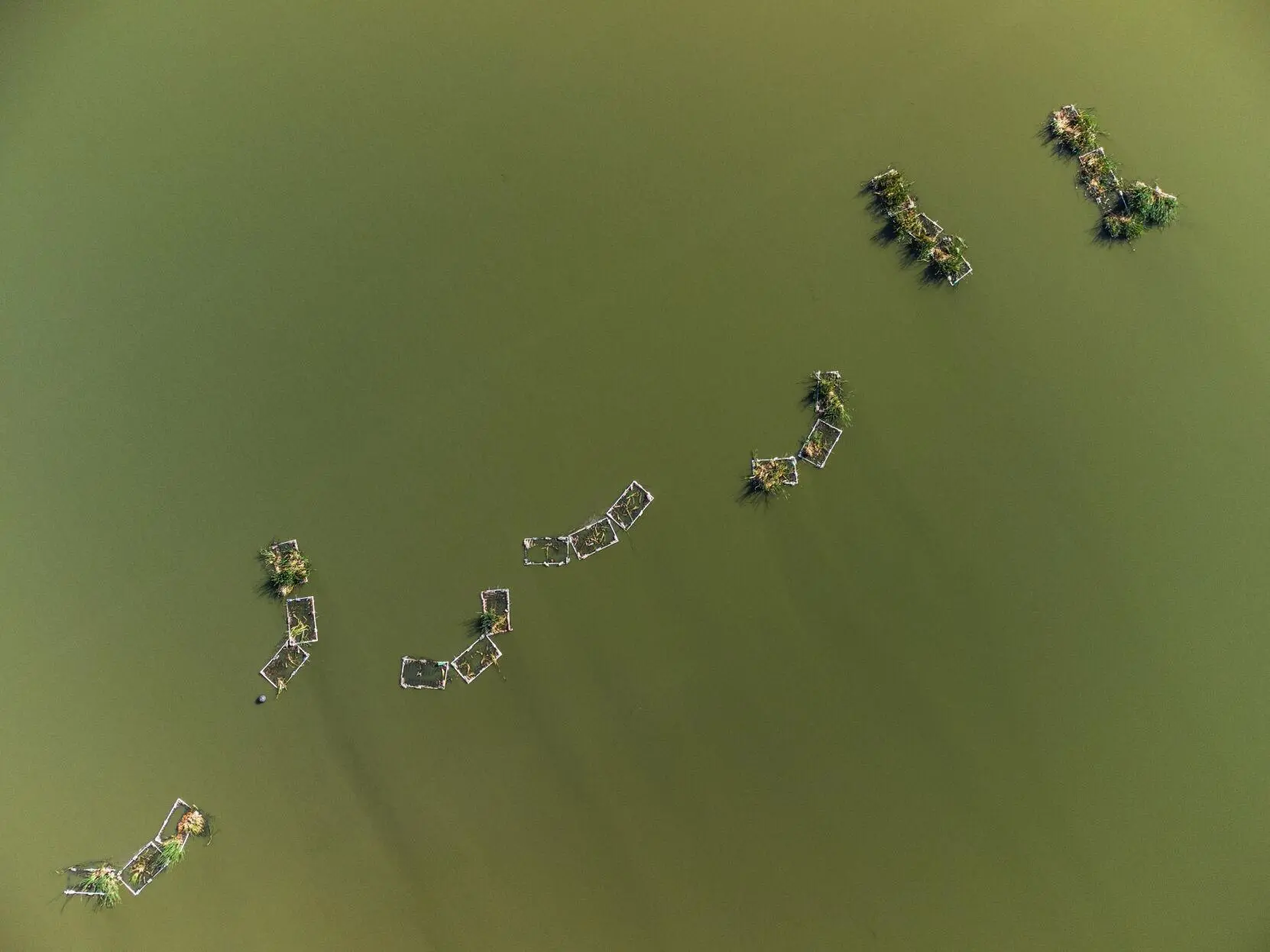 Floating wetlands