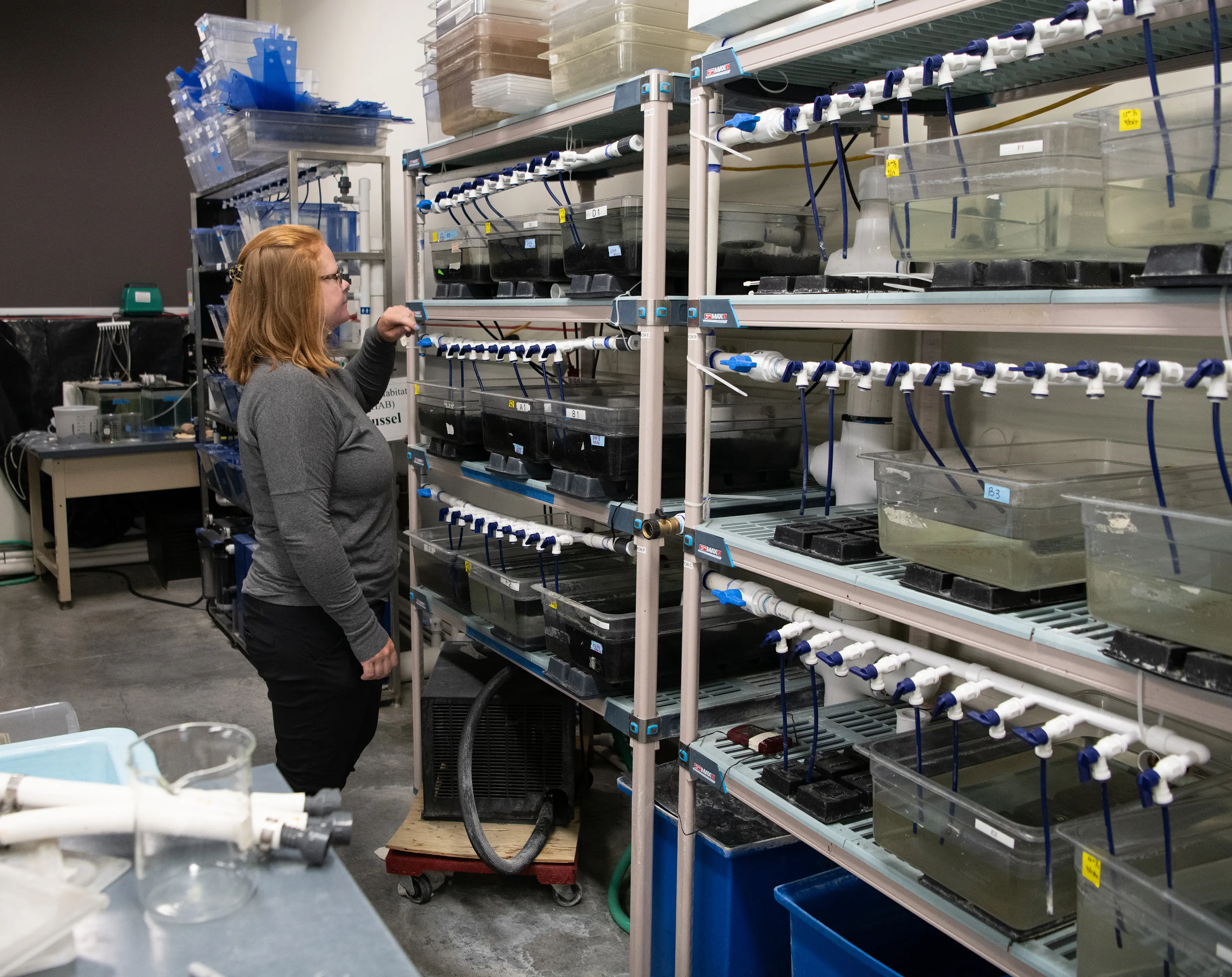 Alexa Maine in the lab