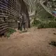  A man, likely a human trafficker known as a 'coyote,' studies a vulnerable stretch of border wall in Tijuana. There is a gap in one area of wall, offering an opening to traffickers of people and drugs. Image by James Whitlow Delano. Mexico, 2017.